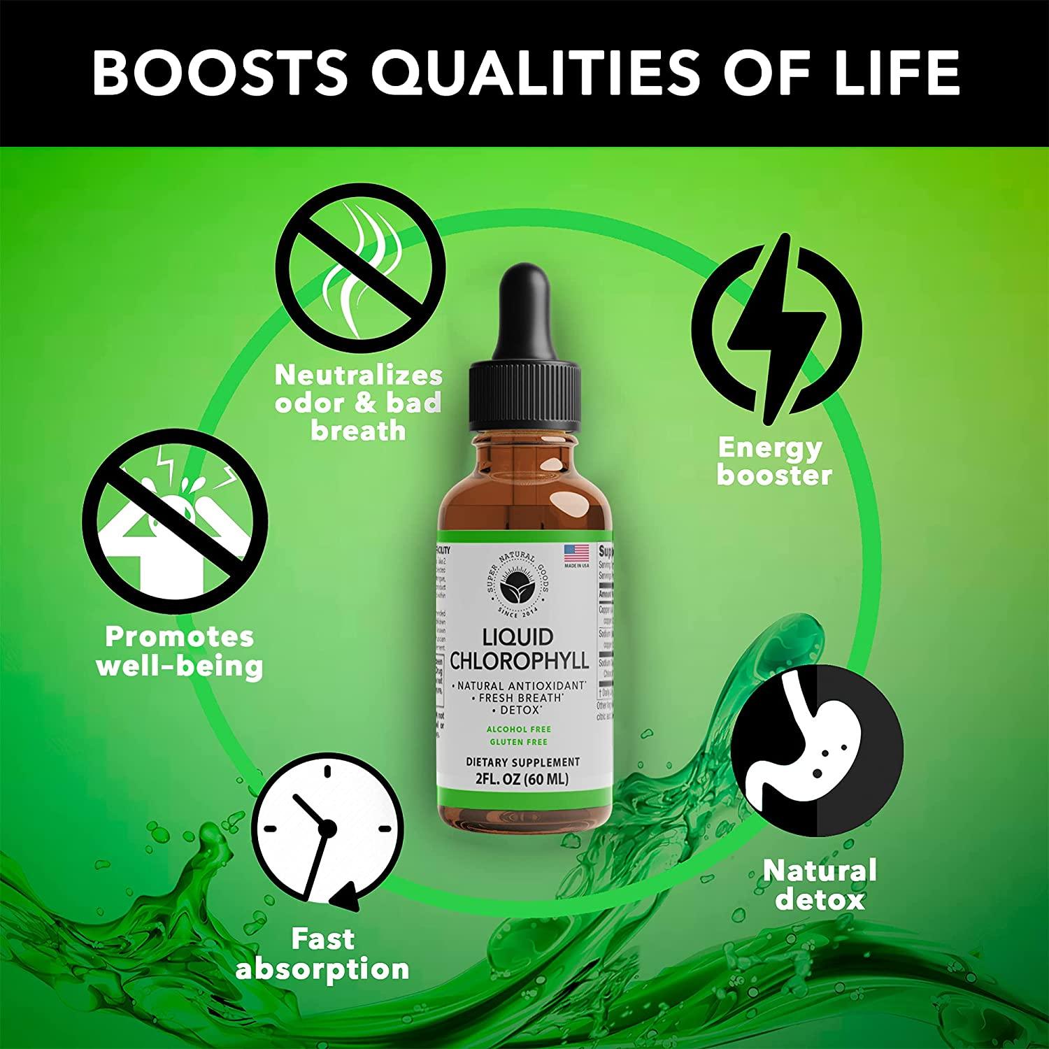 Premium Vegan Liquid Chlorophyll Drops (2oz) for Energy Boost, Gut