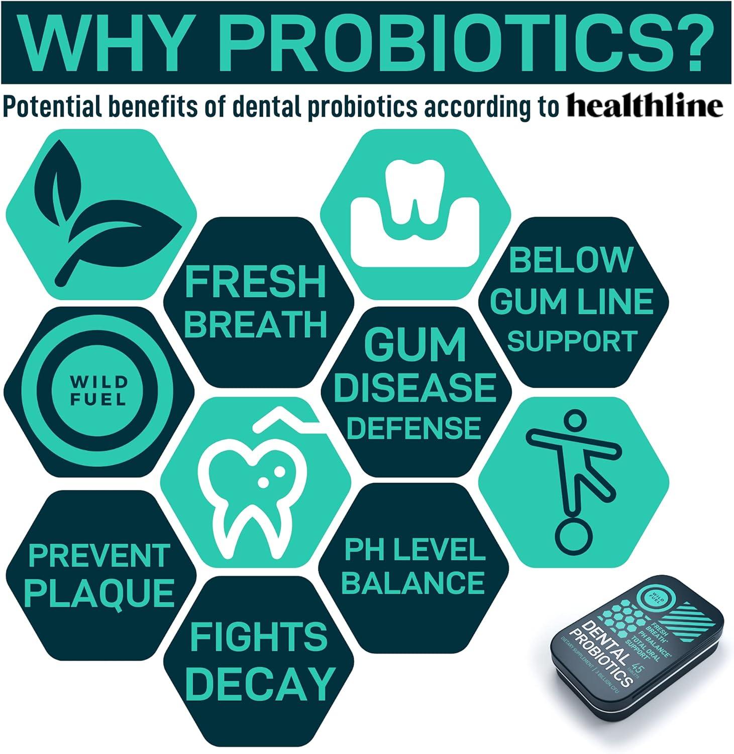 How Probiotics Prevent Tooth Decay The Case Of Lactobacillus Paracasei Fresh Breath Oral Probiotic Mints - 3bn CFU K12 Lactobacillus Paracasei