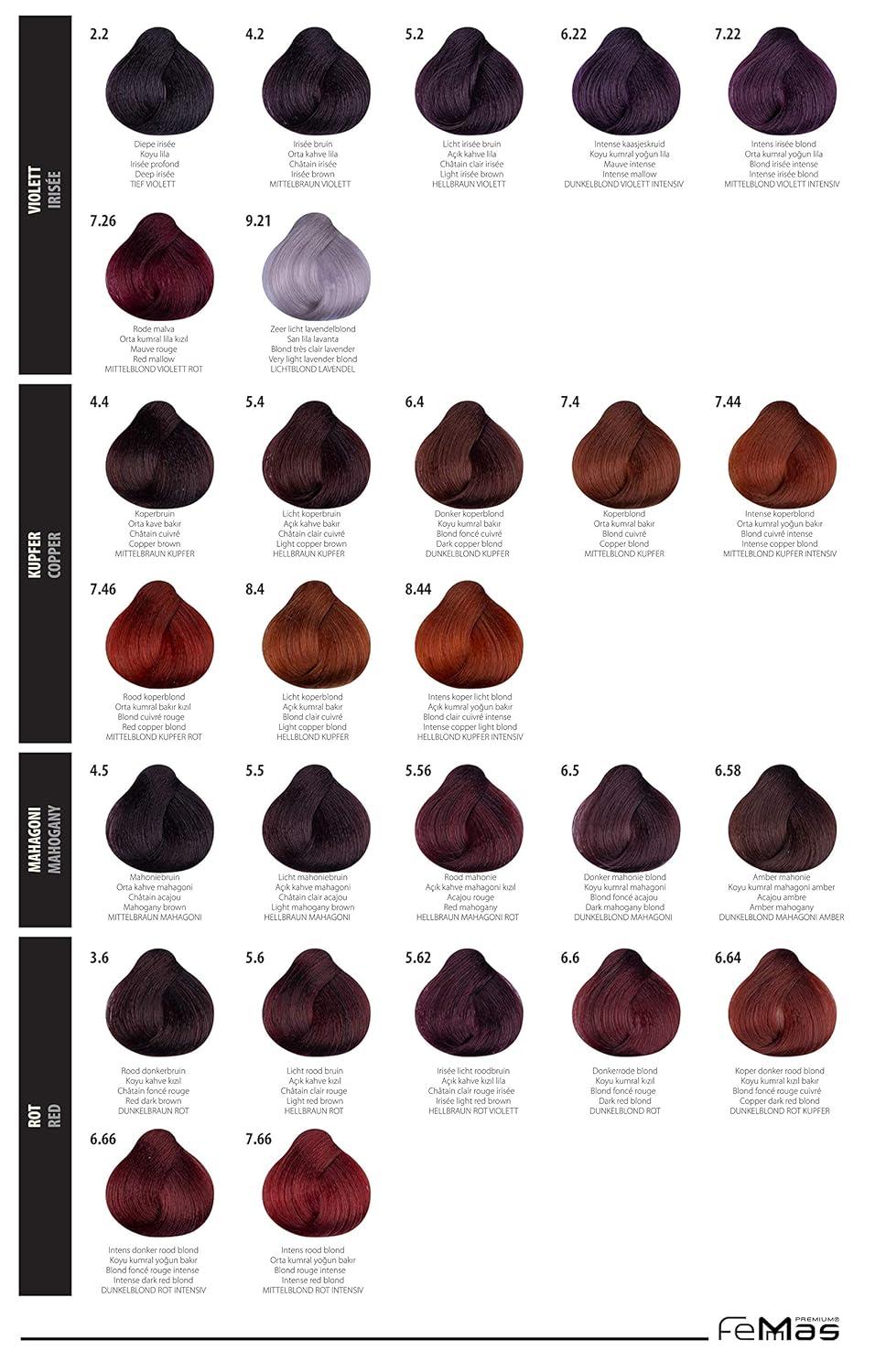 FemMas Color Chart - Real Hair Strands for Accurate Shade Matching ...