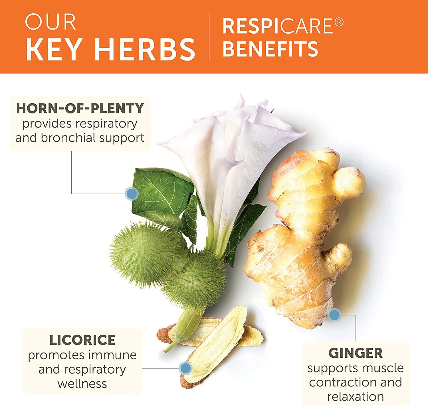 Himalaya RespiCare for Healthy Breathing and Sinus Support, 570mg, 120