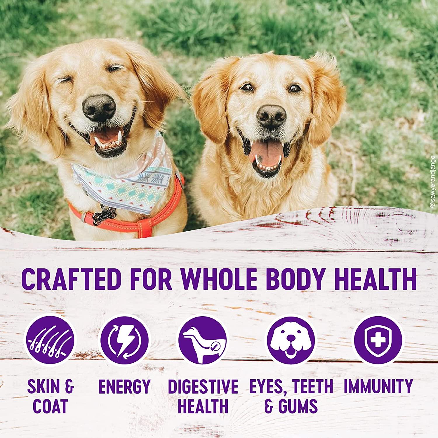 Golden Retriever Dogs Taurine Grain Free Wellness Complete Health