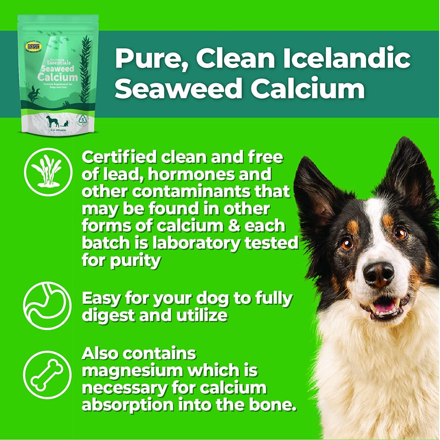 Is Seaweed Good For Dogs Teeth