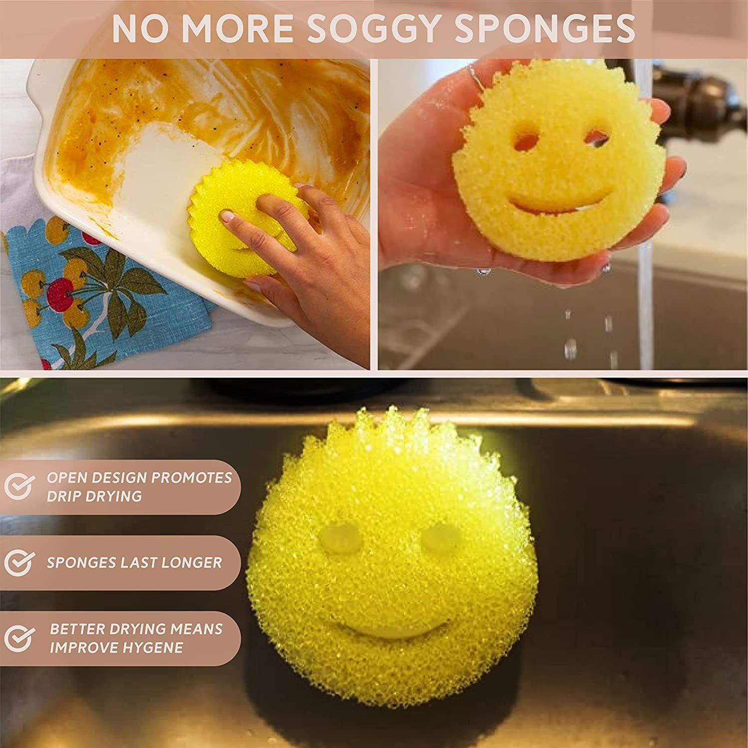 Storage Theory | Sponge Caddy | Suction Cup Installation | Does Not Include Sponge | White Color