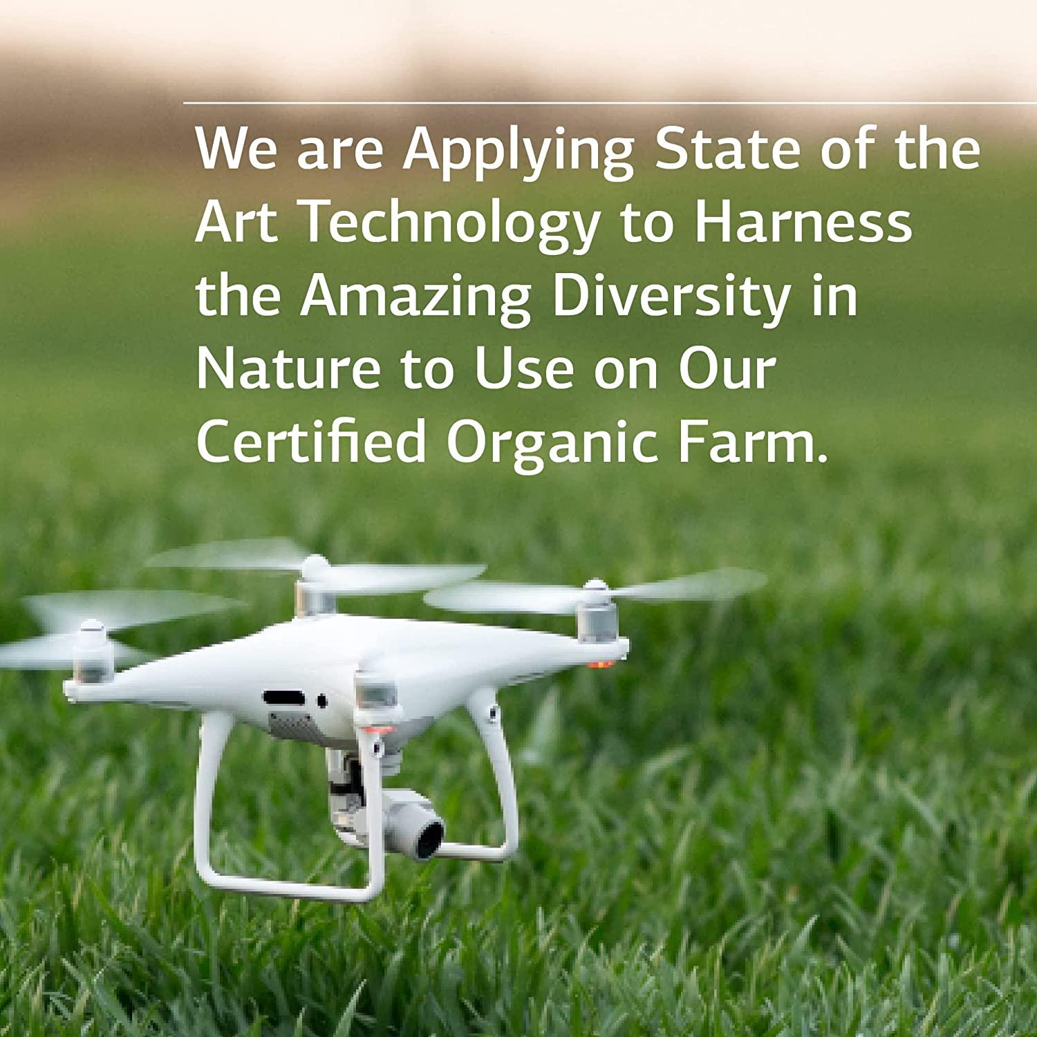 Standard Process Iplex Whole Food Vascular Supplement, Eye Health and