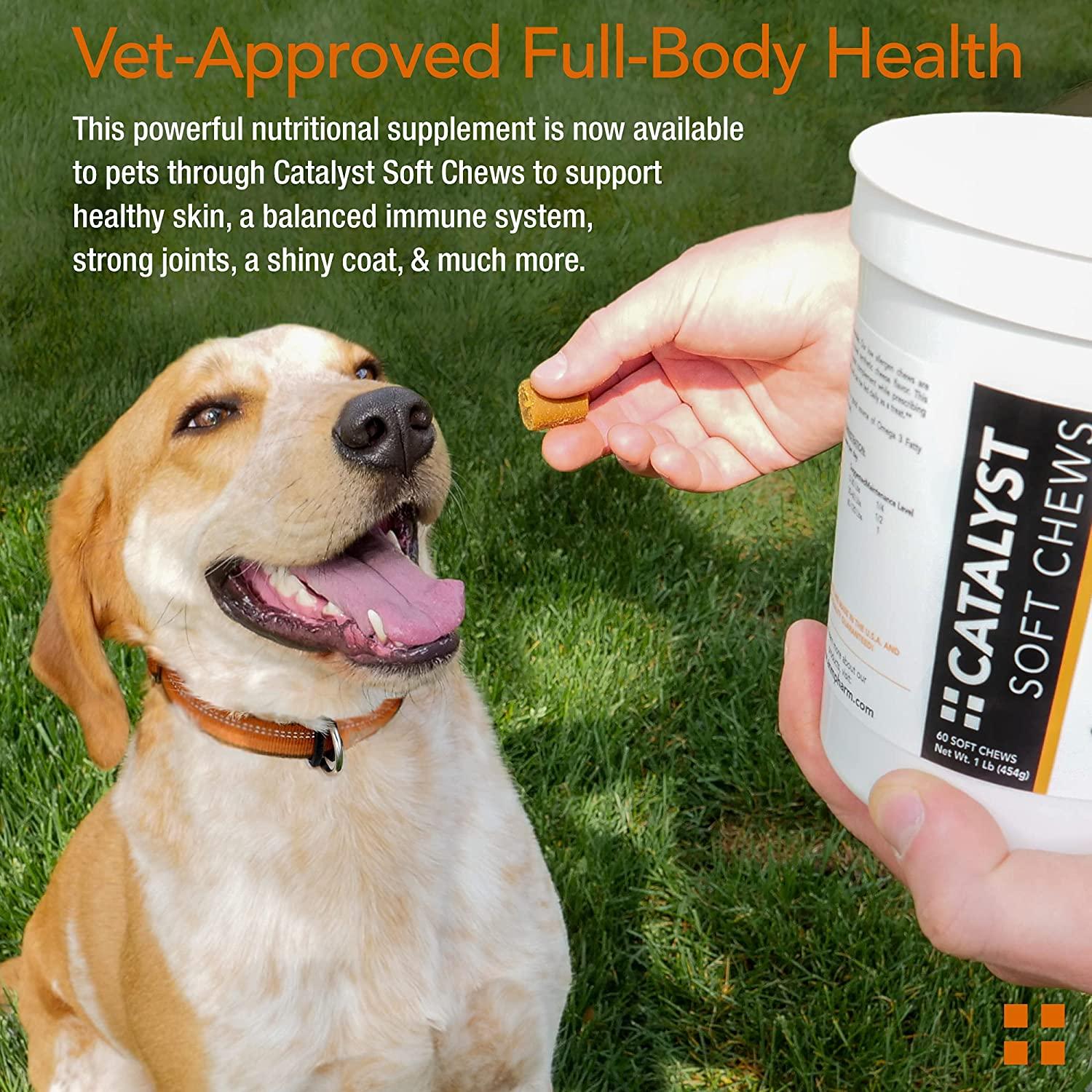 Animal Pharmaceuticals Catalyst+ Omega 3 Fish Oil for Dogs & Cats