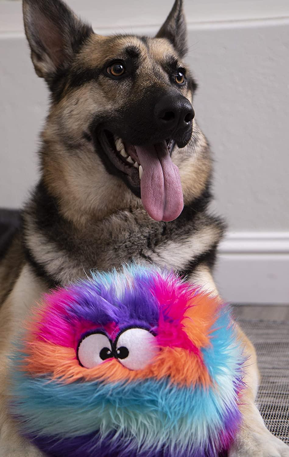 Godog furballz best sale