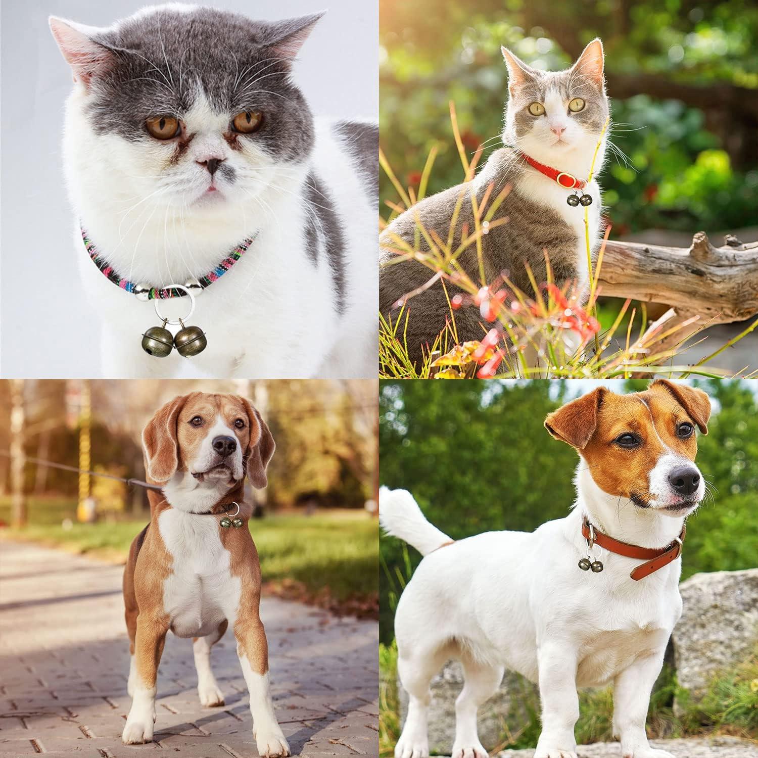 Pet Tracker For Dogs Extra Loud Cat And Dog Bell For Collar Pet Tracker | Desertcart Bird Of Prey Bell