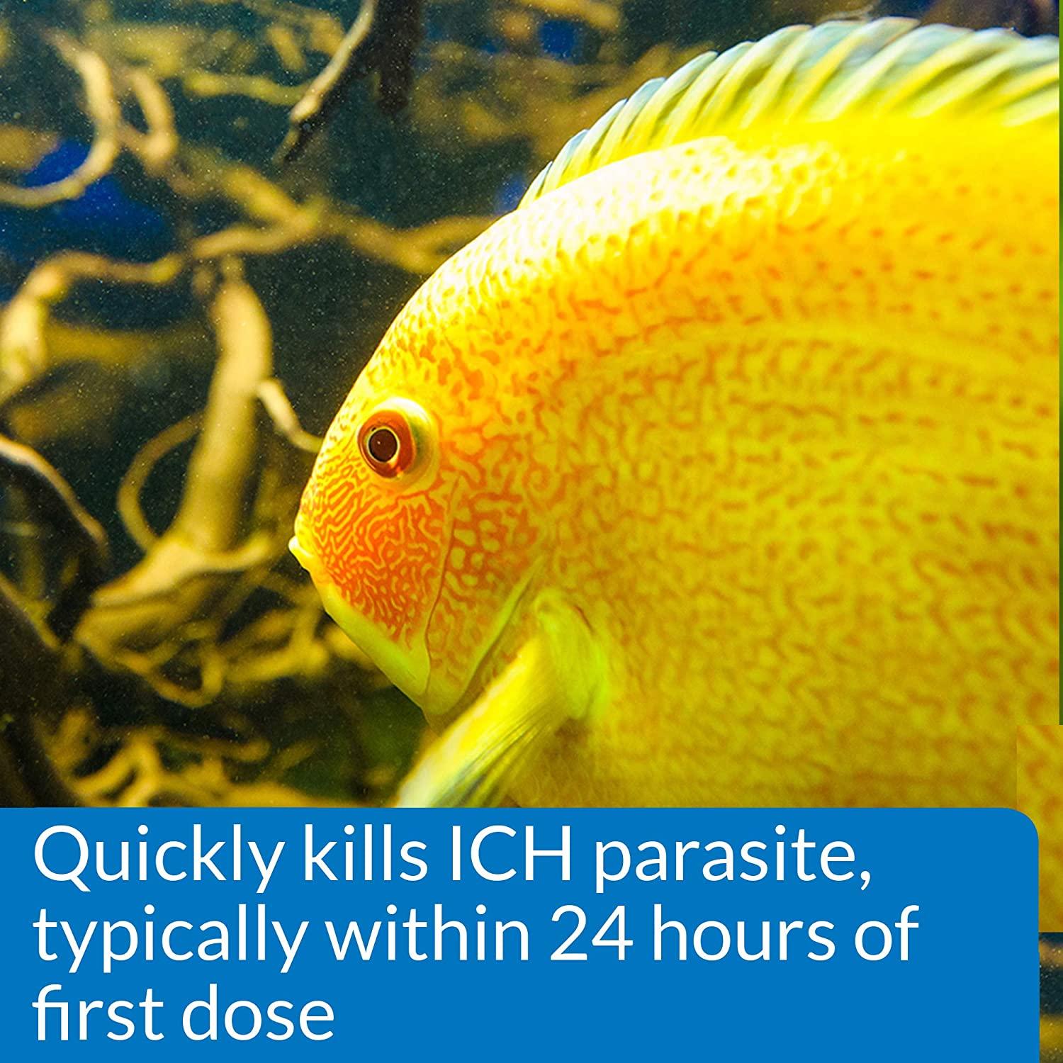 Api Super Ick Cure Fish Remedy Quickly Treats Ich White Spot Disease