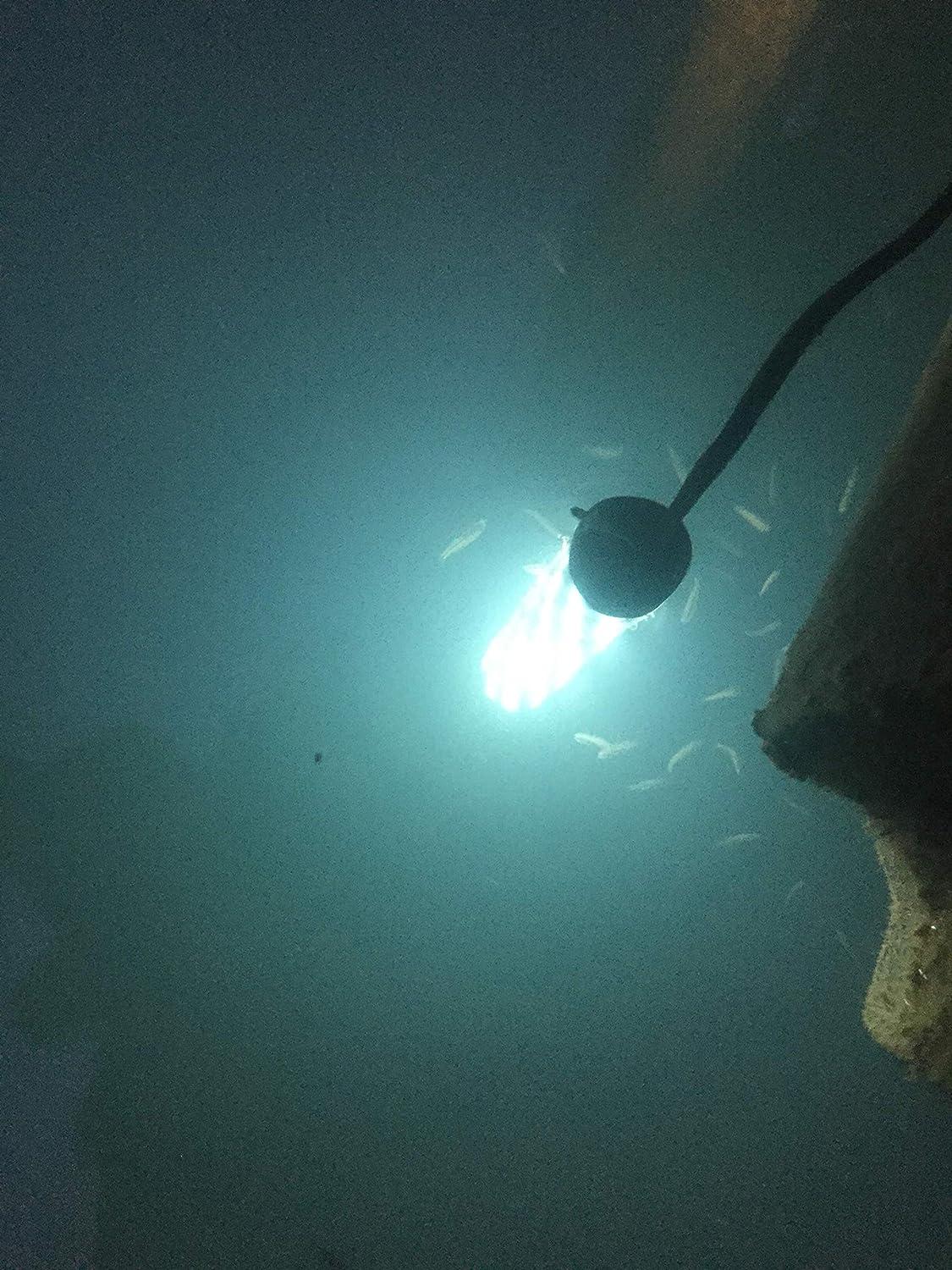 Bright Night Fishing Underwater Fishing Light Battery Clamps 25ft