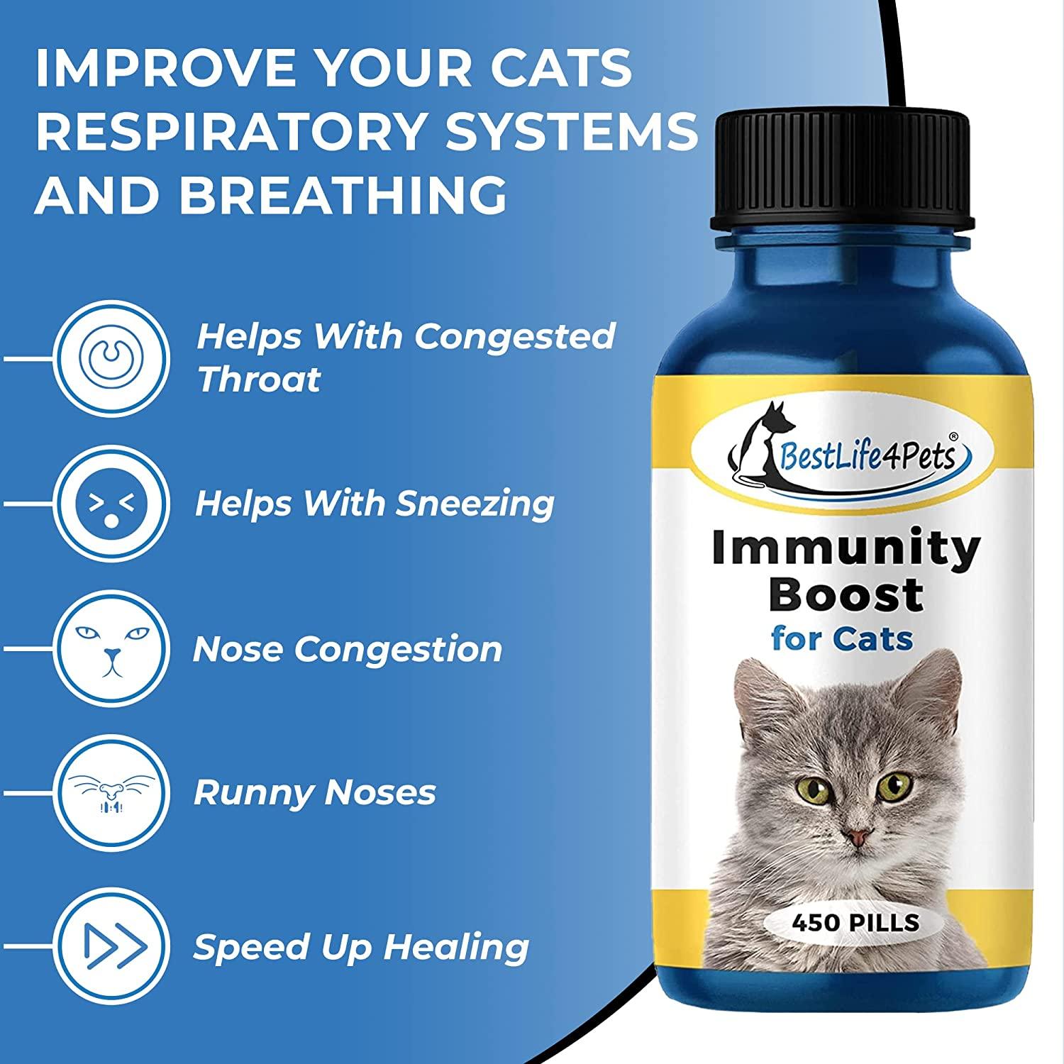 Immunity Boost for Cats Supplement Helps Your Feline's Respiratory and