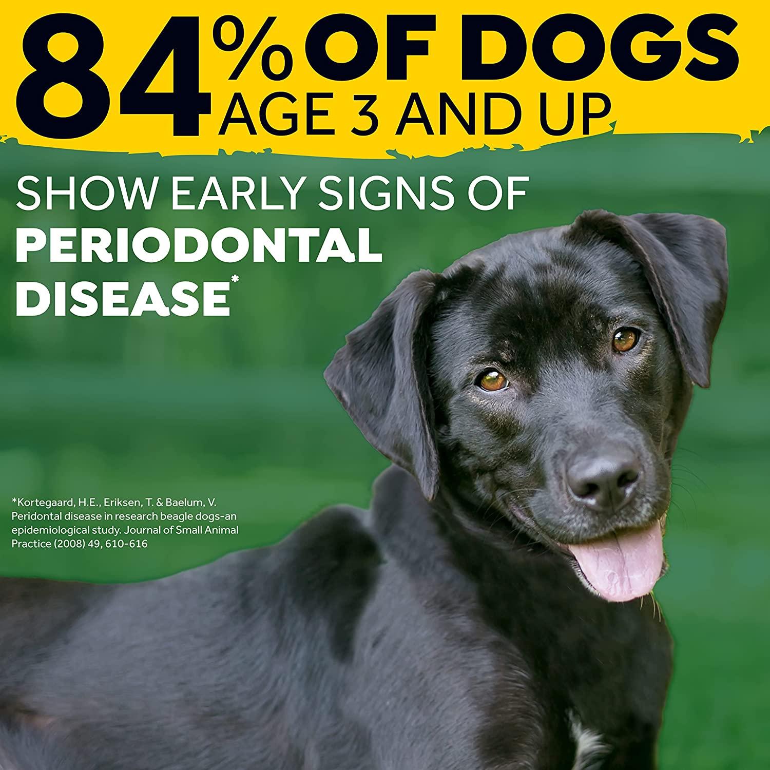 TropiClean Fresh Breath Dog Breath Spray, Easy to Use Dog Breath