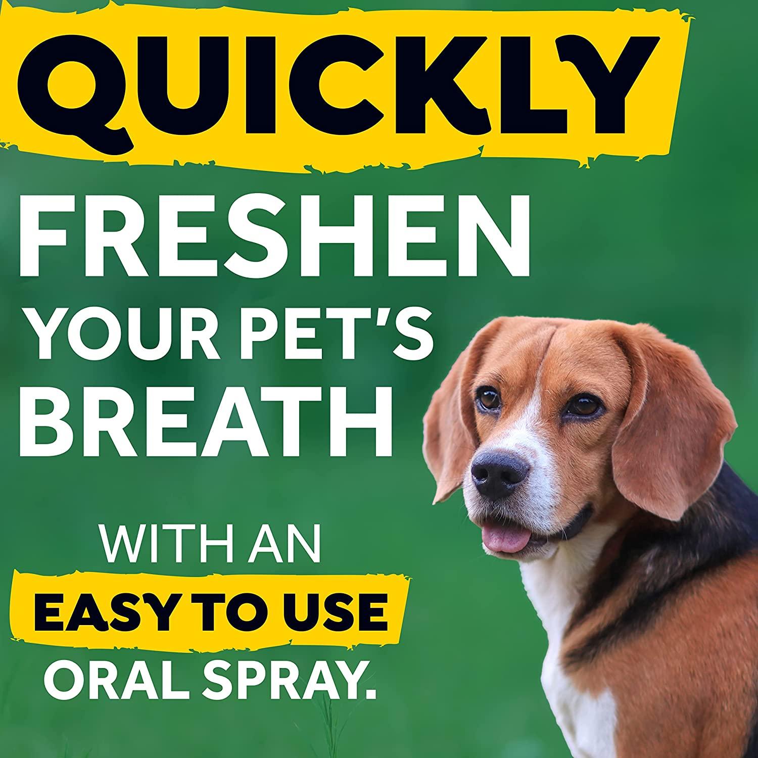 TropiClean Fresh Breath Dog Breath Spray, Easy to Use Dog Breath
