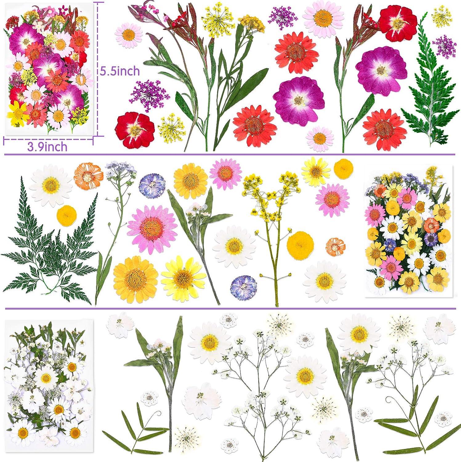 120 PCS Dried Flowers for Resin Molds Natural Pressed Flowers Leaves Herbs  kit with Tweezers for DIY Art Crafts Candle Jewelry Making Scrapbook  Embellishment Nail Silicone Molds Floral Decors