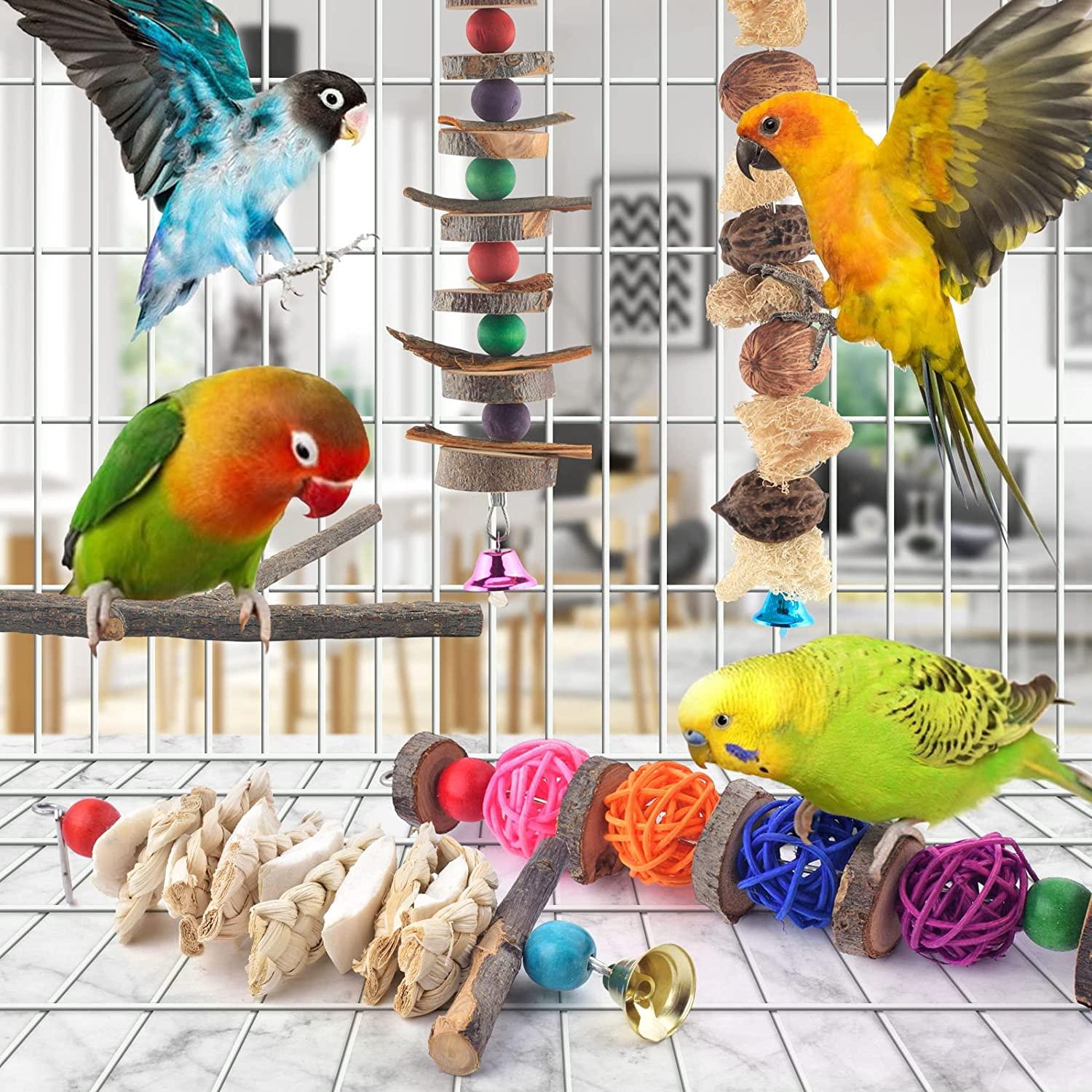 Bissap Bird Chew Toys 5 Packs Parakeet Natural Wood Toys Parrot