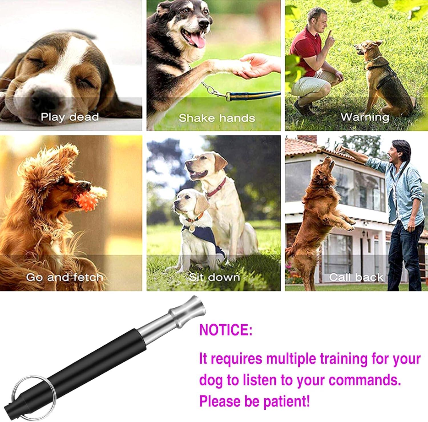 Dog Whistle to Make Dogs Come to You: Ultimate Guide