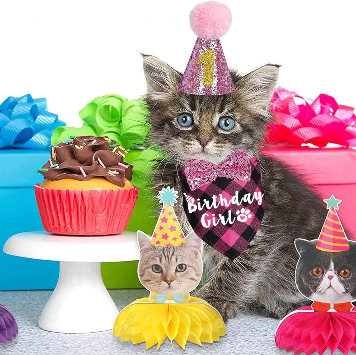 kitten birthday image