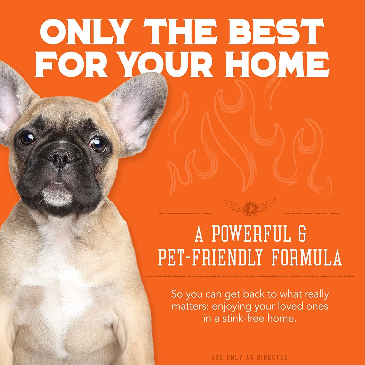 Best dog odor new arrivals eliminator for home