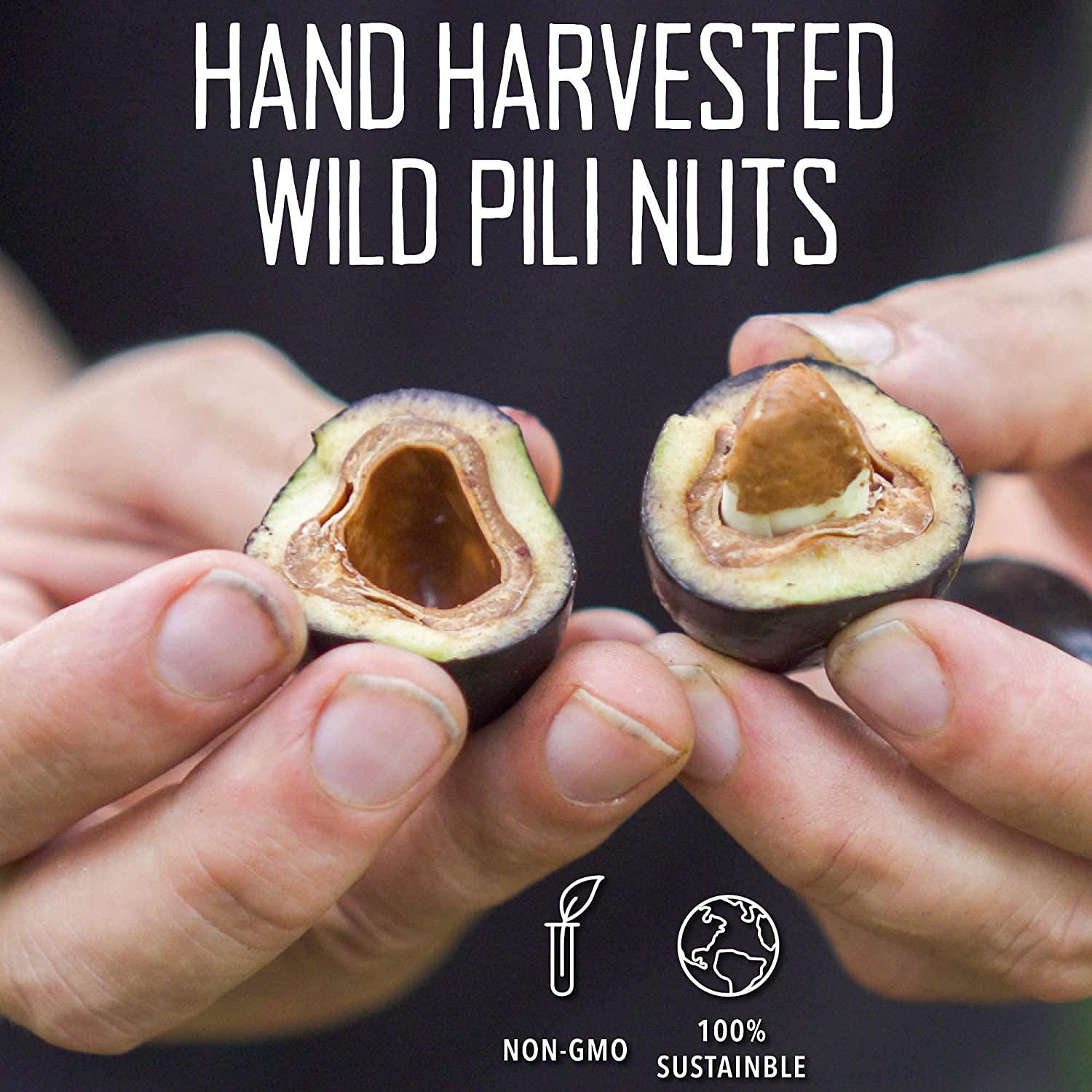 The Original Wild Sprouted Pili Nuts by Pili Hunters Traditional