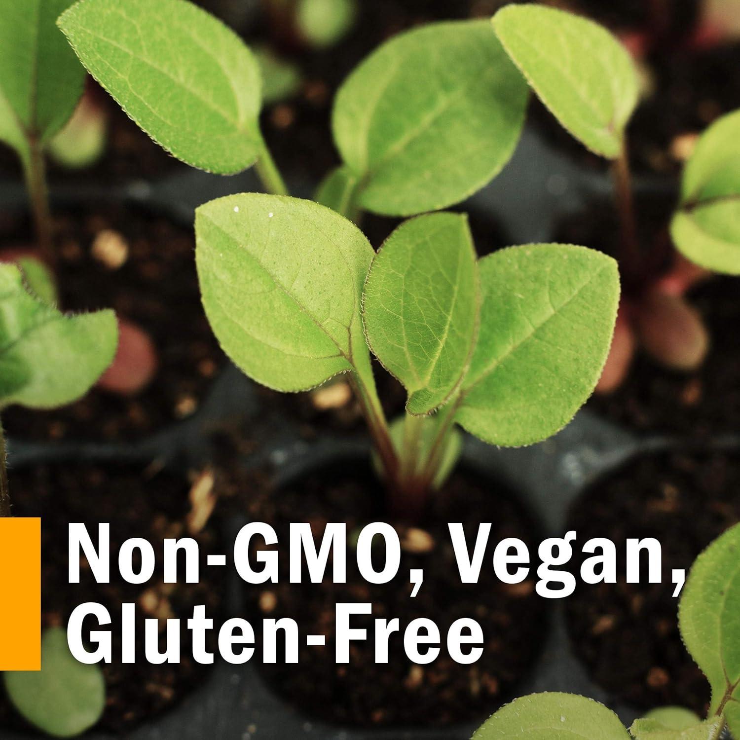 Herb Pharm Urinary System Support Liquid Herbal Formula 1 Fl Oz 1 Fl Oz