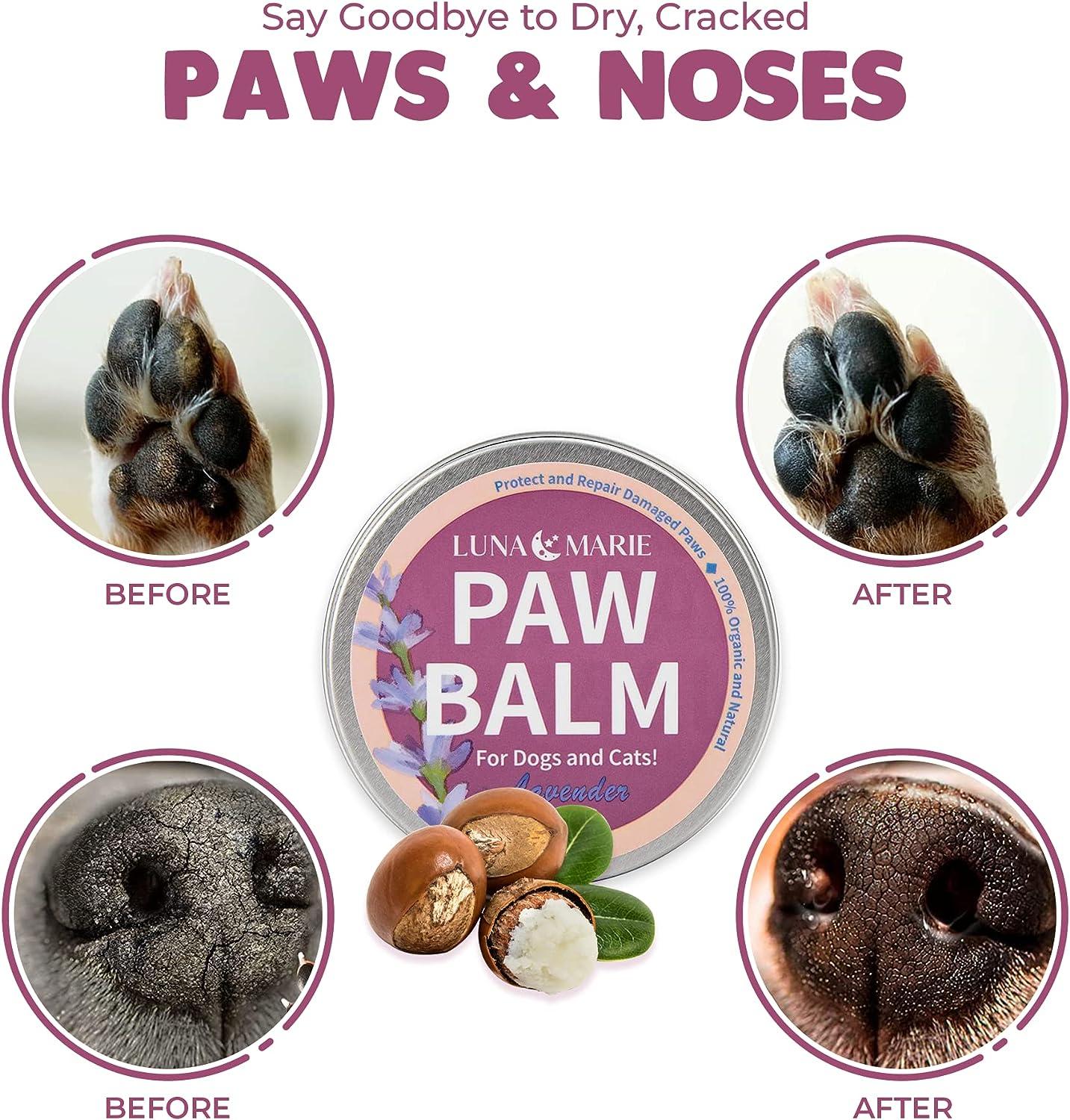 Coconut Oil On Dog Paw Pads Lunamarie Paw Balm: Organic Soother for Cracked Paws & Itchy Noses