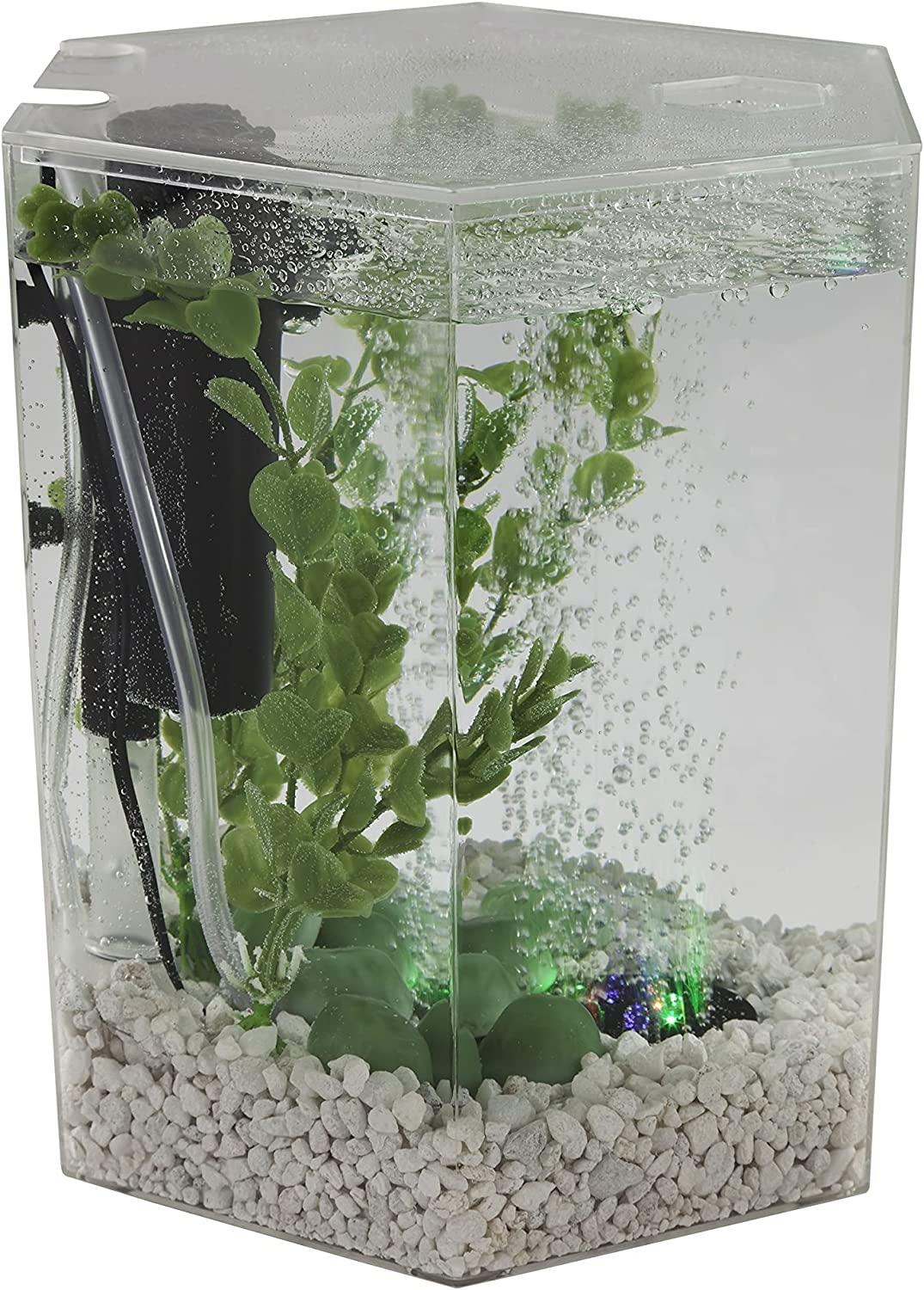 Tetra Bubbling LED Aquarium Kit 1 Gallon, Hexagon Shape, With  Color-Changing Light Disc