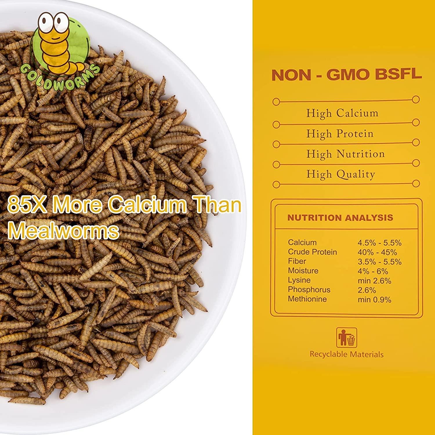 GOLDWORMS Superior to Dried Mealworms for Chickens NonGMO Dried