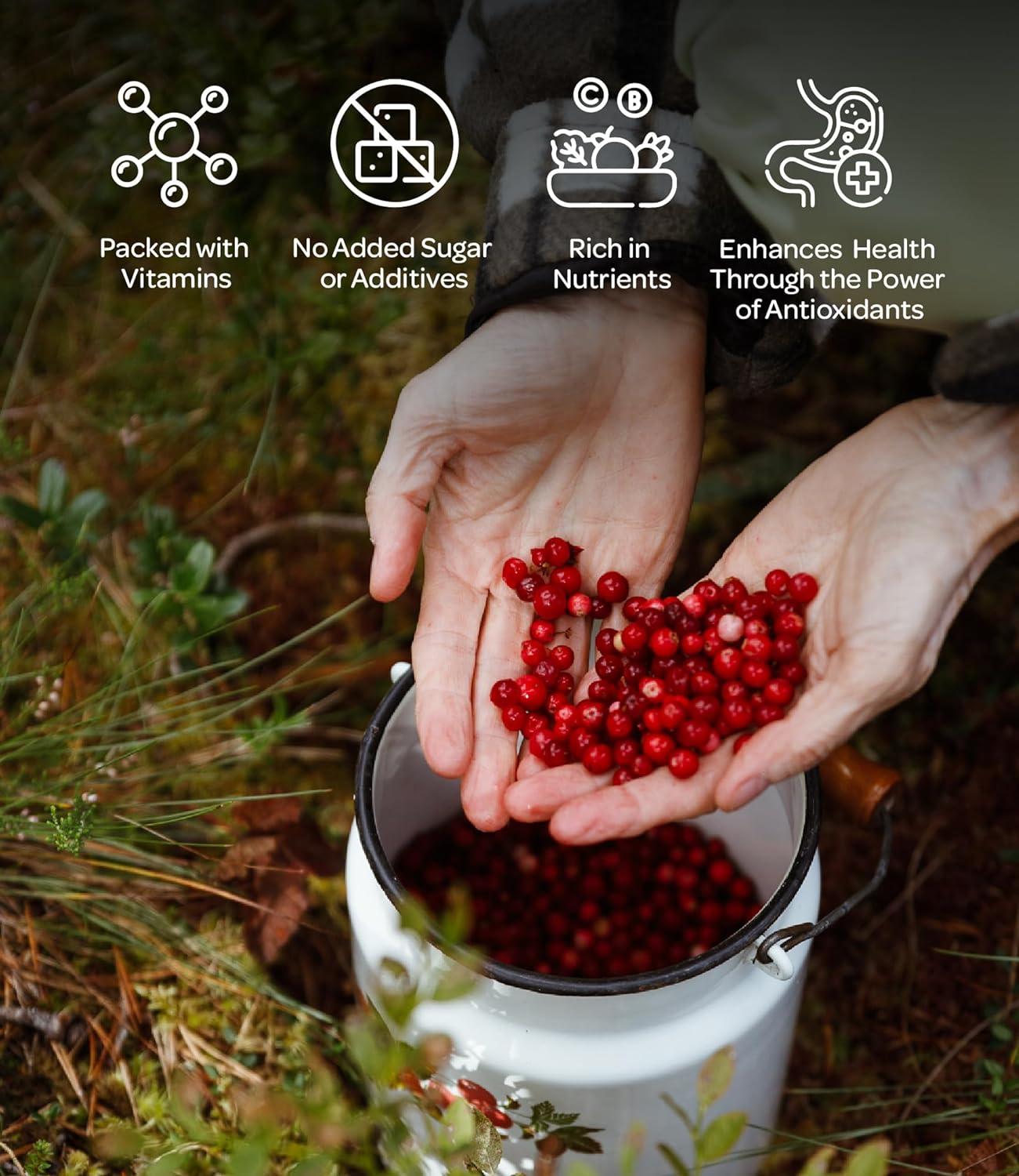 LOOV Wild Cranberry Juice Organic 500 ml 100 from Directly Pressed