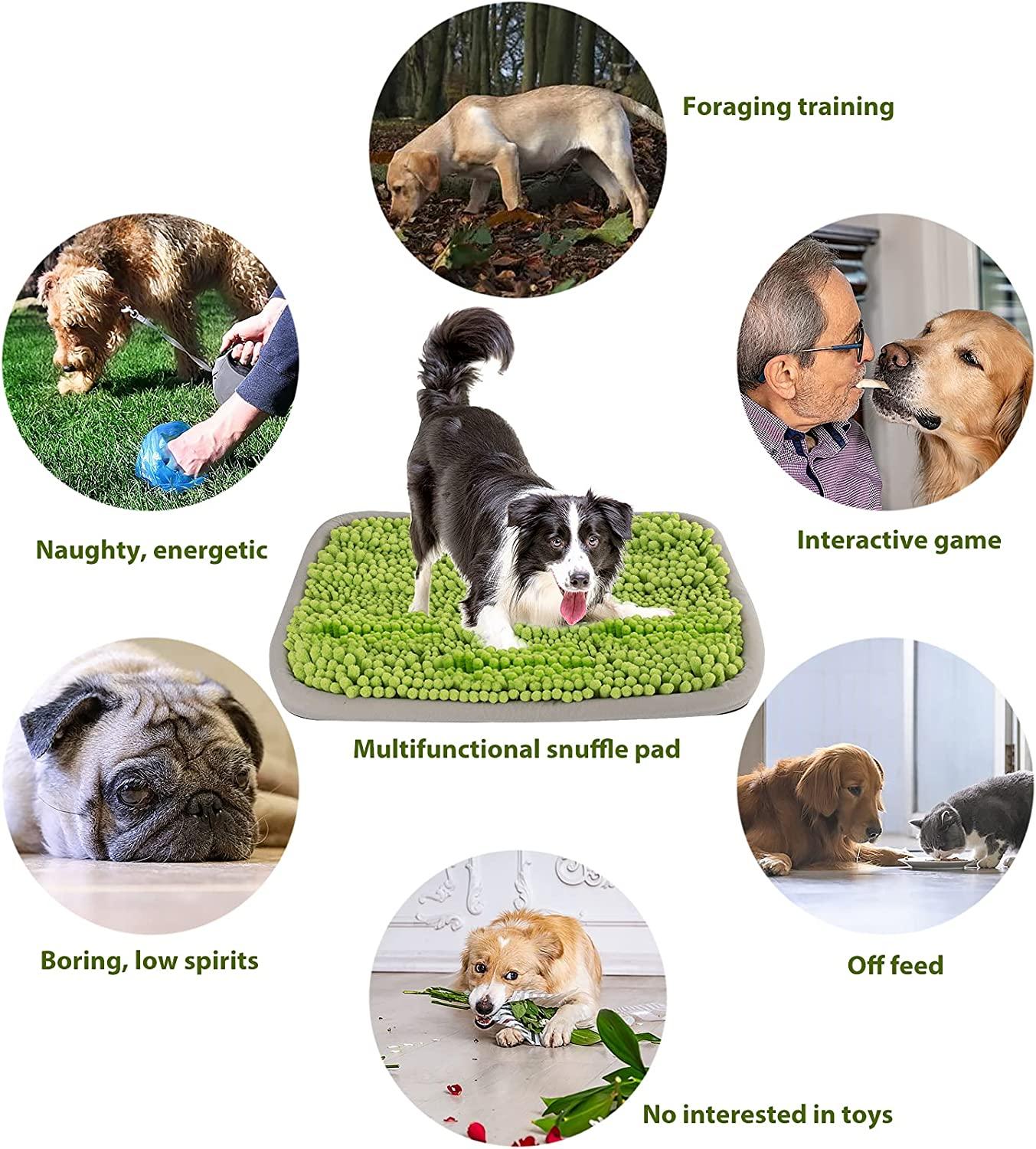 CALMING RUFFLES SNUFFLE MATS FOR DOGS – Posh Pet Supply Co.