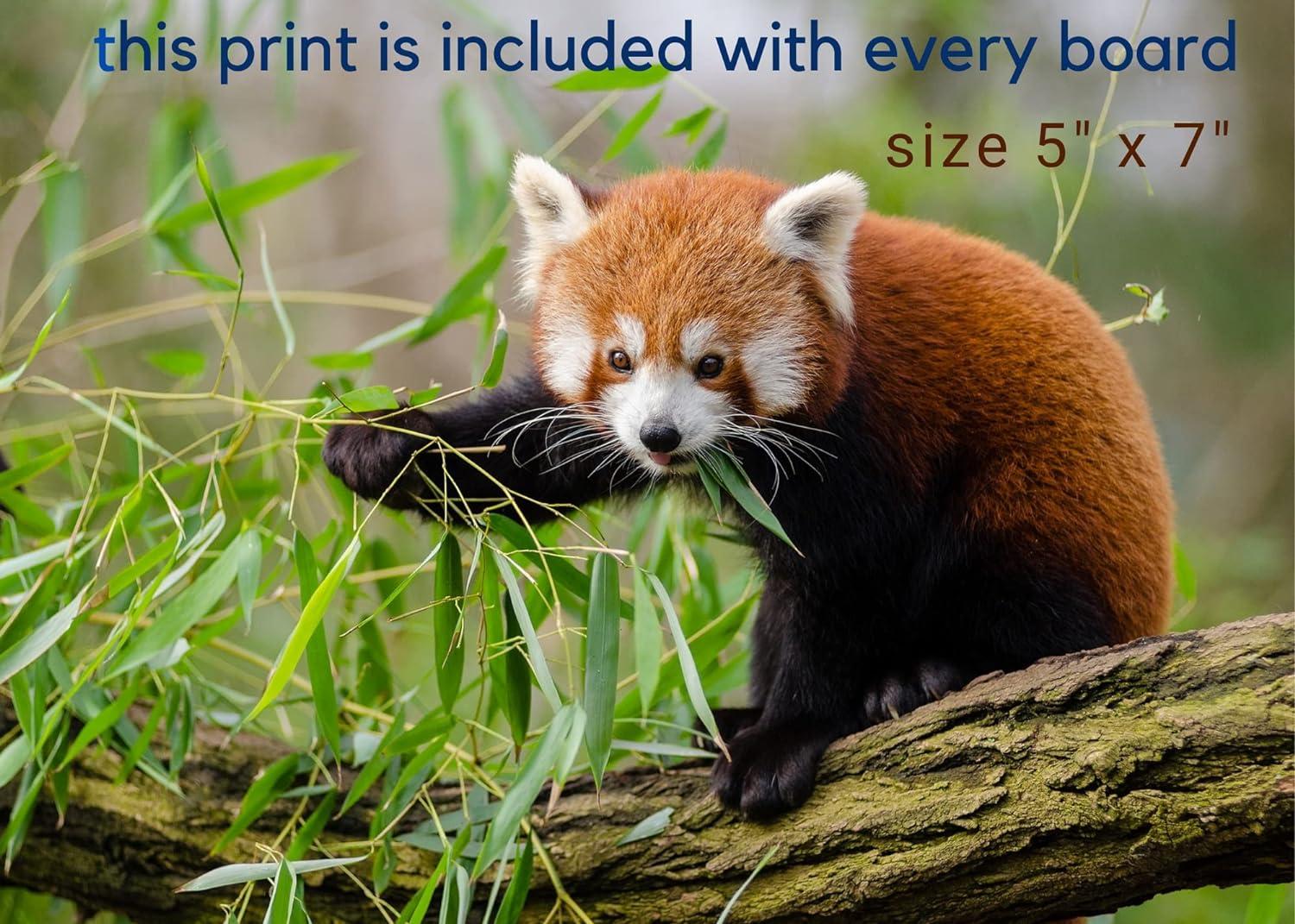 Self Stick Adhesive Mounting Board for Needlework Framing Needlepoint Embroidery Art Cross