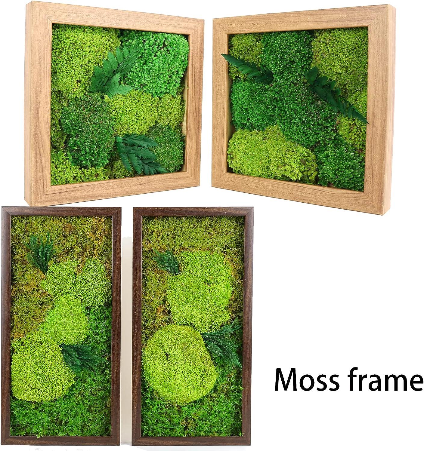 1.5sq. Ft Preserved Moss Pole Moss Pillow Moss Colored Decorative Moss for  Moss Crafts, Art DIY, Wall Decor (Yellow Green)