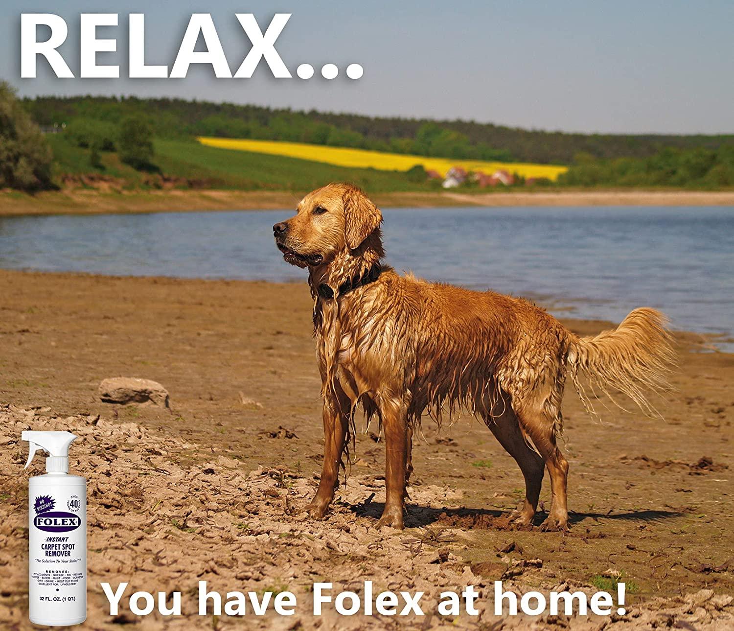 FOLEX Instant Carpet Spot Remover + Daley Mint Cloth Instant Rug, Upholstery, and Carpet Spot