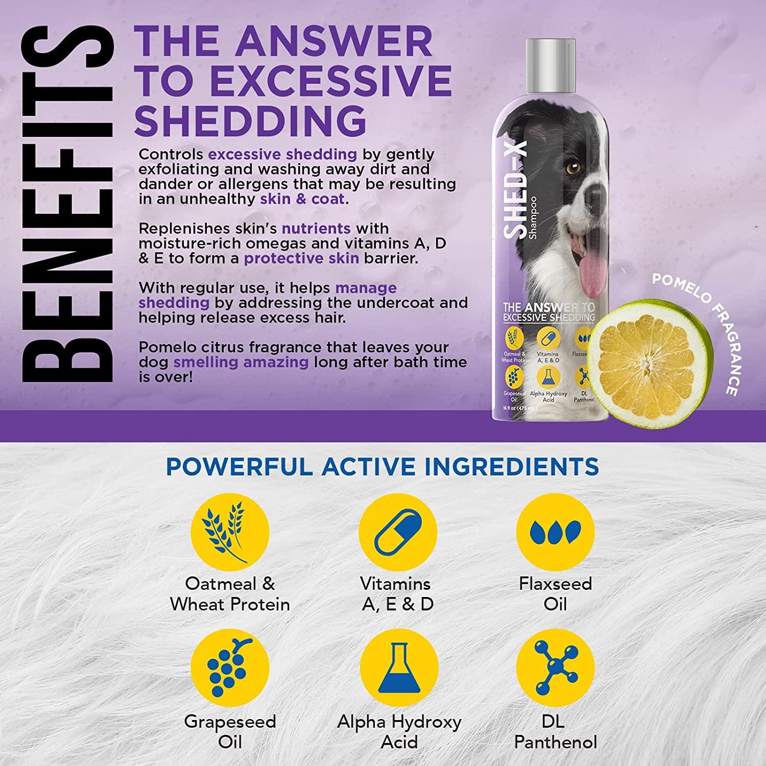 ShedX Shed Control Shampoo for Dogs, 16 oz Reduce Shedding Shedding Shampoo Infuses Skin and