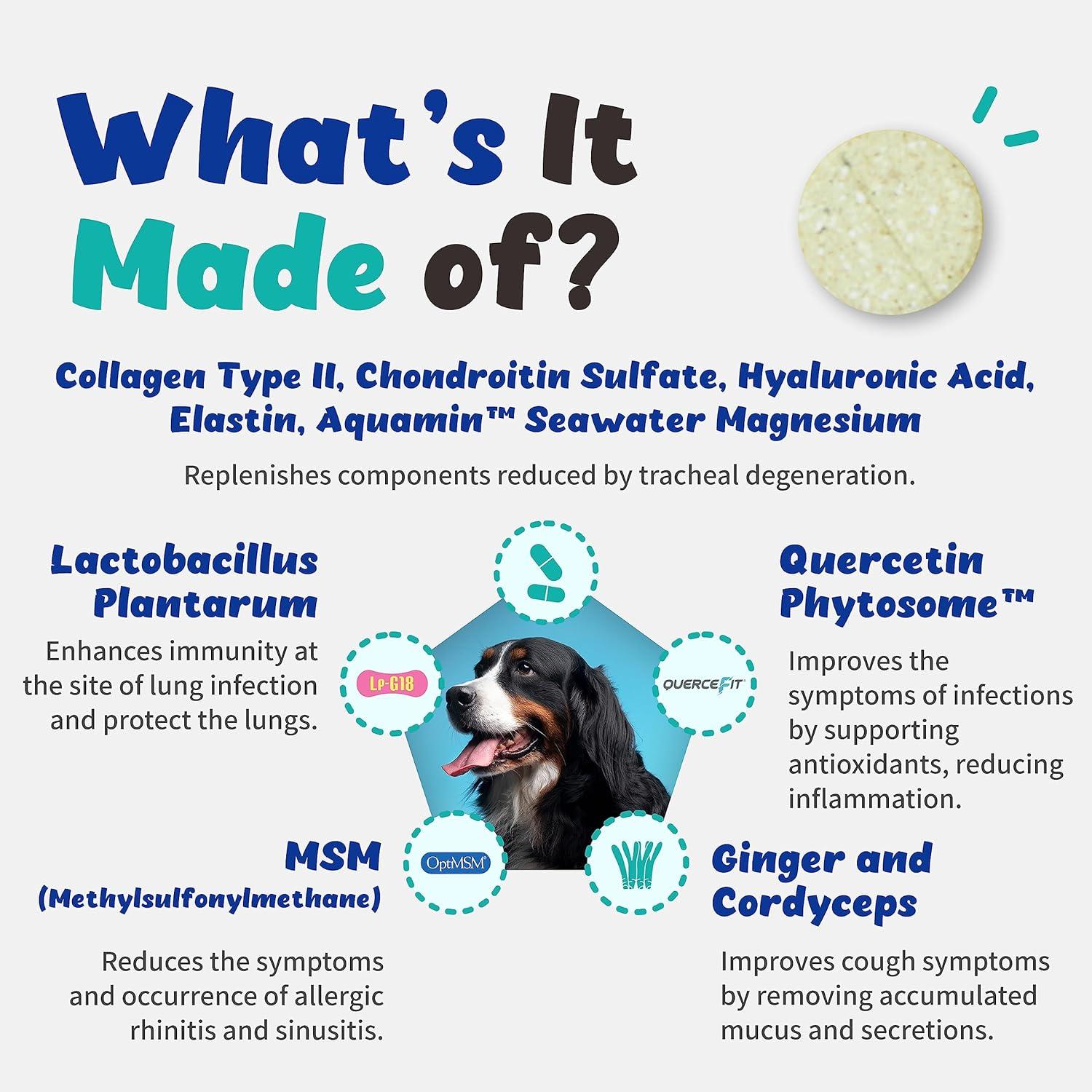 Symptoms Allergic Rhinitis In Dogs Branvine Respiratory Guardian