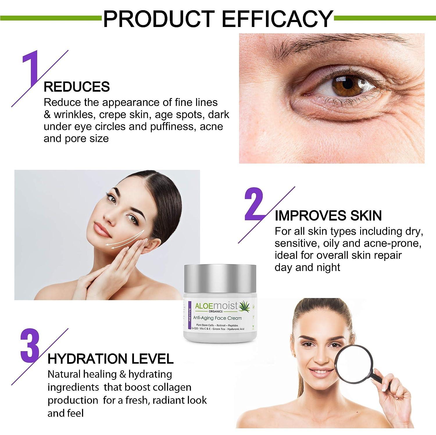 wie sieht eine aloe vera aus Aloe vera | Sukkulente main image 1