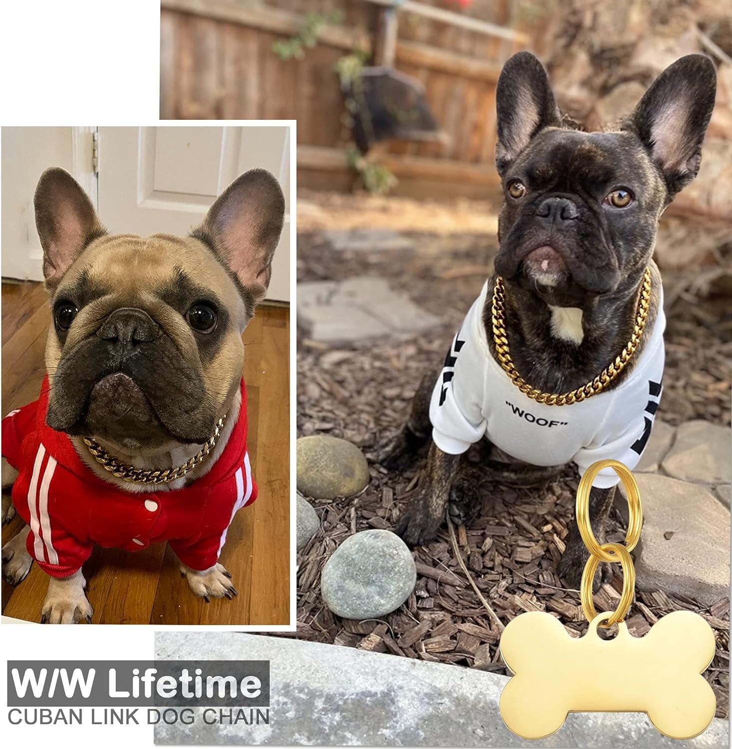 Pitbull Cuban Link Collar For Small Dogs W/W Lifetime Choke Chain