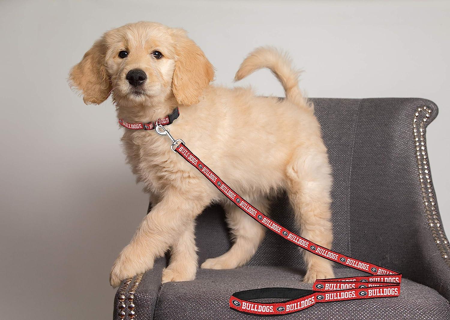  Pets First Collegiate Pet Accessories, Dog Collar