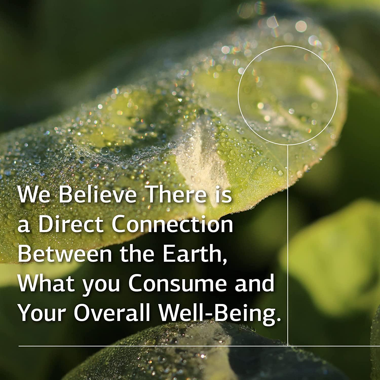 Standard Process MinTran Nervous System Support Supplement with