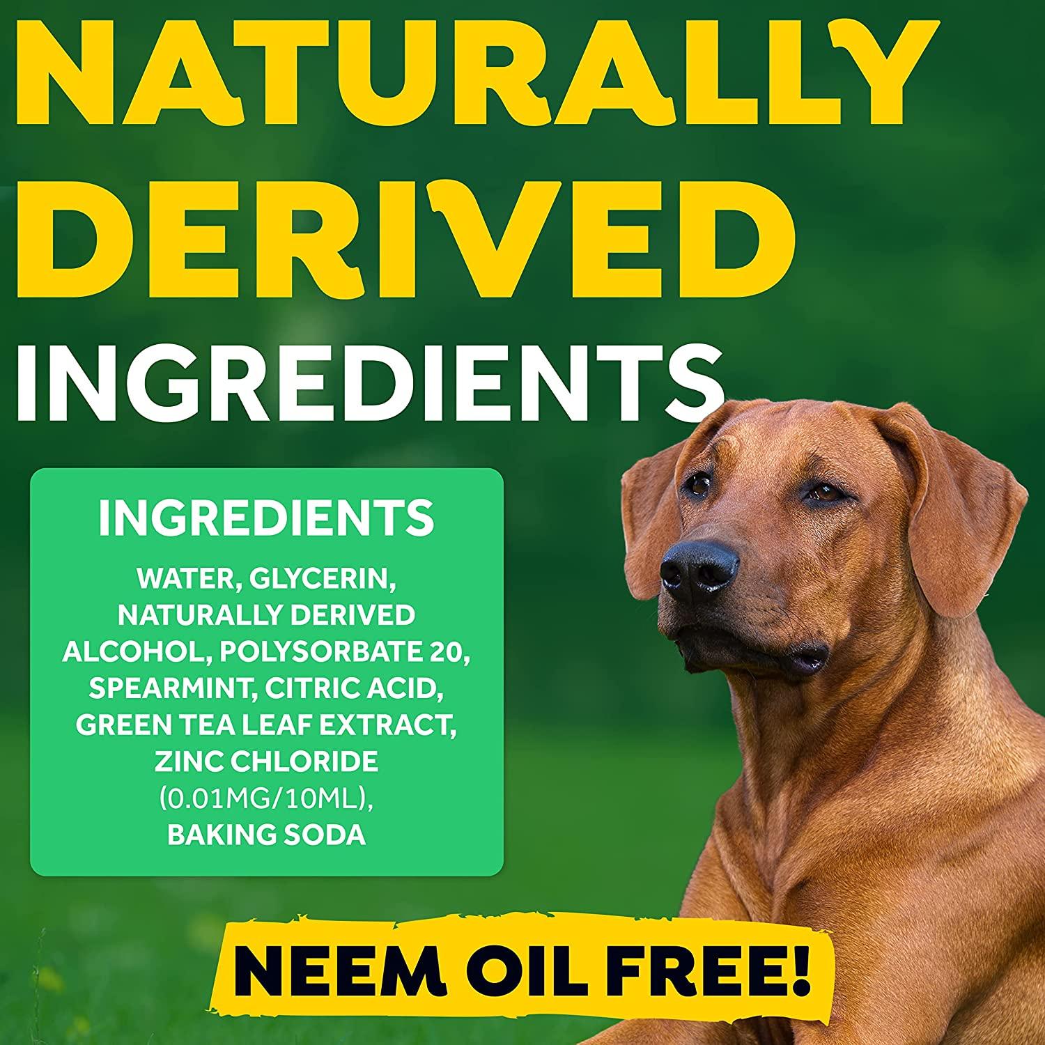 TropiClean Fresh Breath Dog Breath Spray, Easy to Use Dog Breath