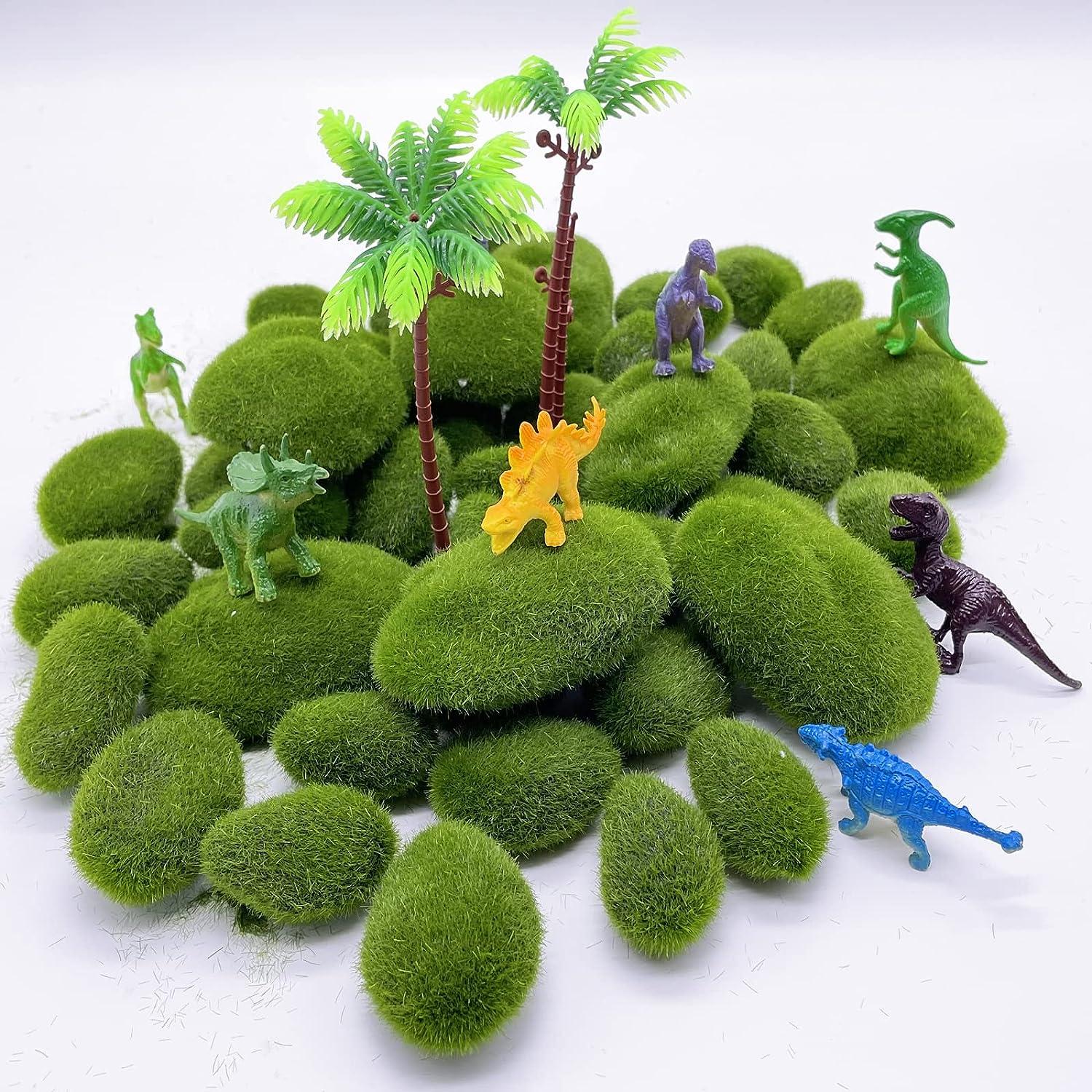 Use of Decorative Moss With Plants