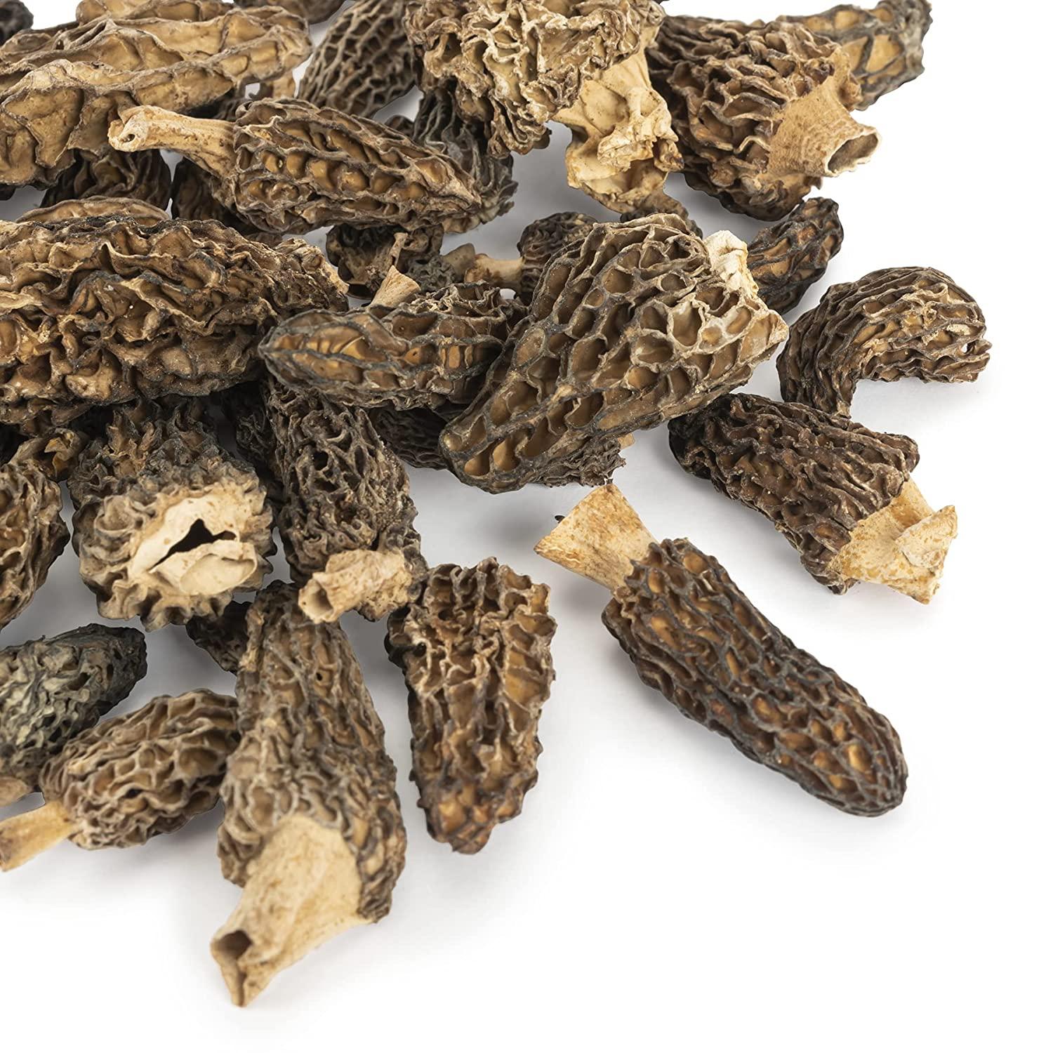 Slofoodgroup Dried Morel Mushrooms (Morchella Conica) Gourmet Morel
