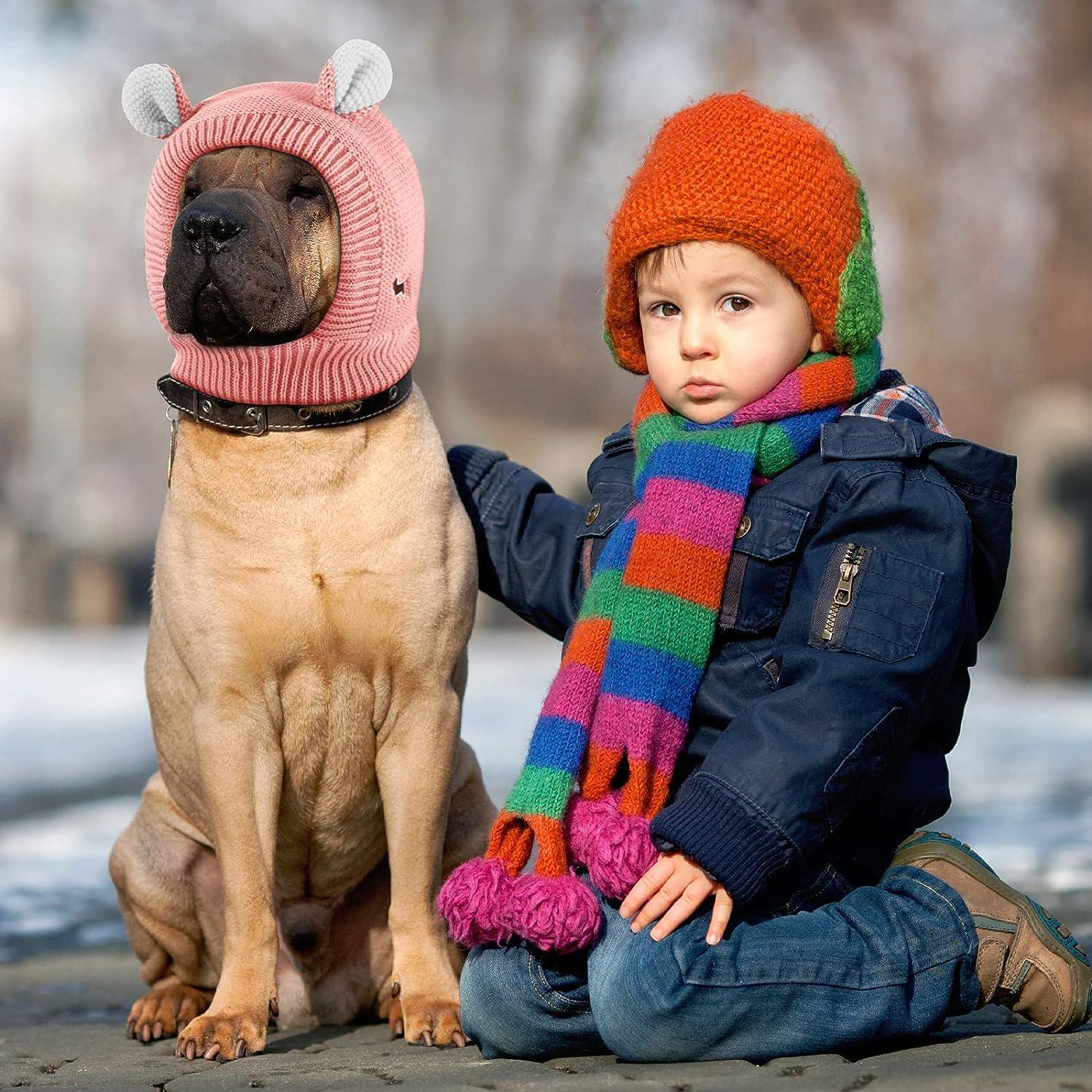 Hat, Warm Pet Dog Knitted Hat,Pet Dog Winter Knitted Hat, Hats for