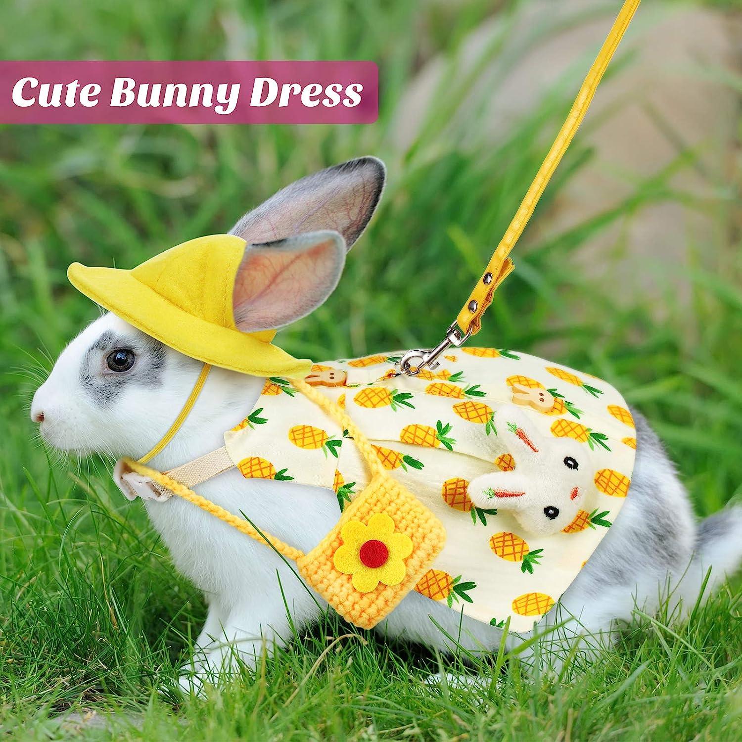 Pet Rabbit Bunny Easter Costume Set with Leash, Hat, and Mini Bag -  Pineapple and Cherry Design | Small Animals Accessory for Rabbit, Hedgehog,  Ferret, Guinea Pigs, Squirrel | Buy Now with