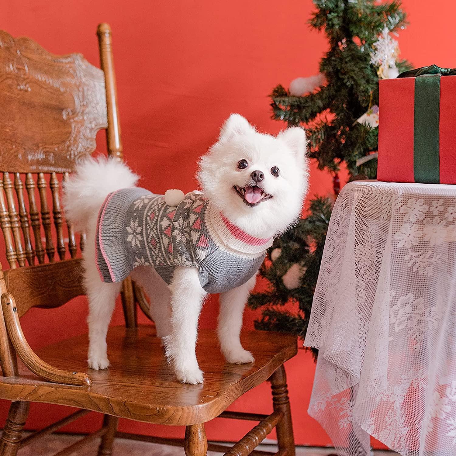 EXPAWLORER Turtleneck Dog Sweater for Small Dogs - Christmas Knitwear with  Leash Hole - Warm Winter Coat & Pullover - Ideal Gift - Grey (Small) | Buy  Now with Express International Delivery | GoSupps.com