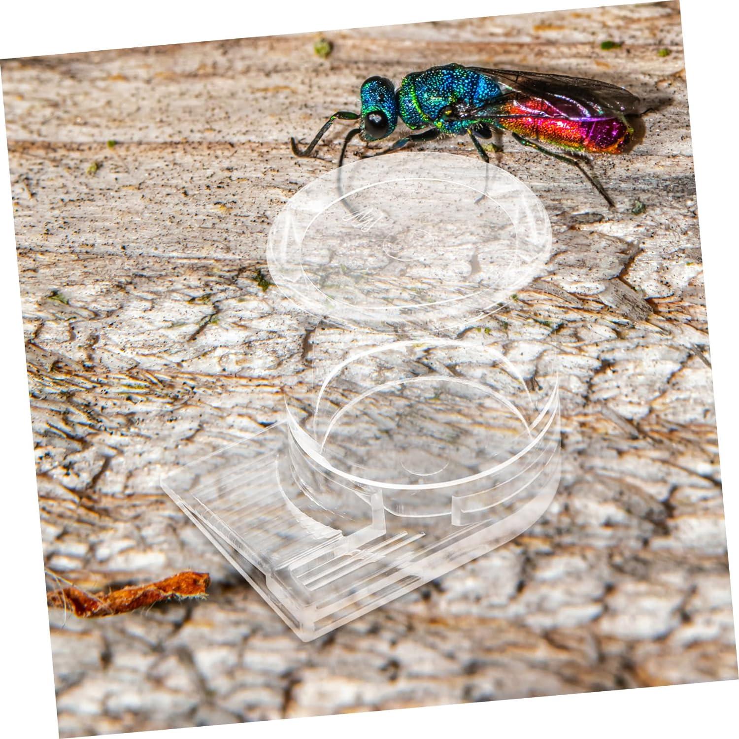 Pet Water Feeder Ant Feed Bowl Automatic Ants Feeder Ant Watering Station Ant Bottle Feeder Ant