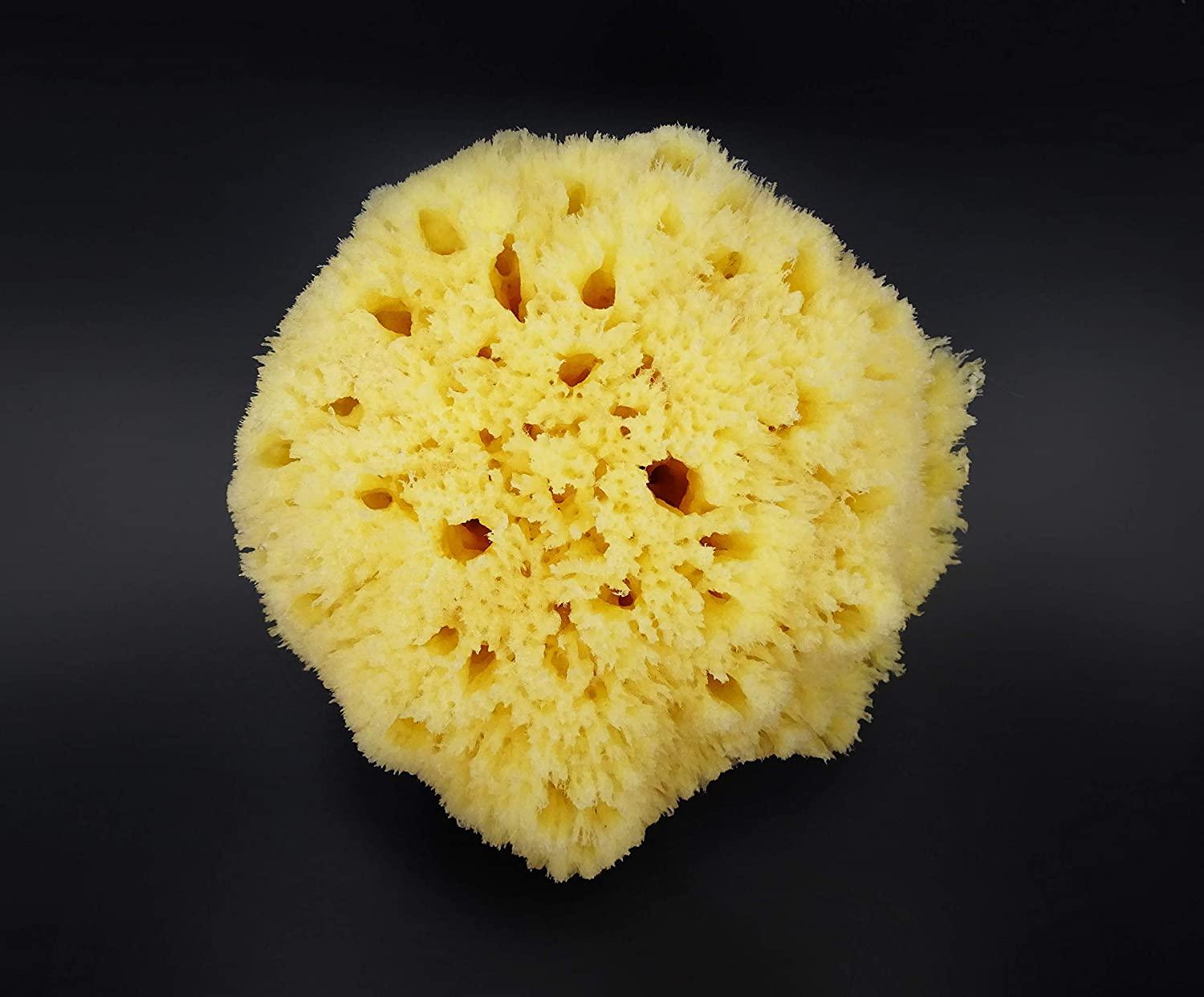 Real Sea Sponge for Men Extra Large 6"7", Totally Natural, Kind on Skin for an Invigorating