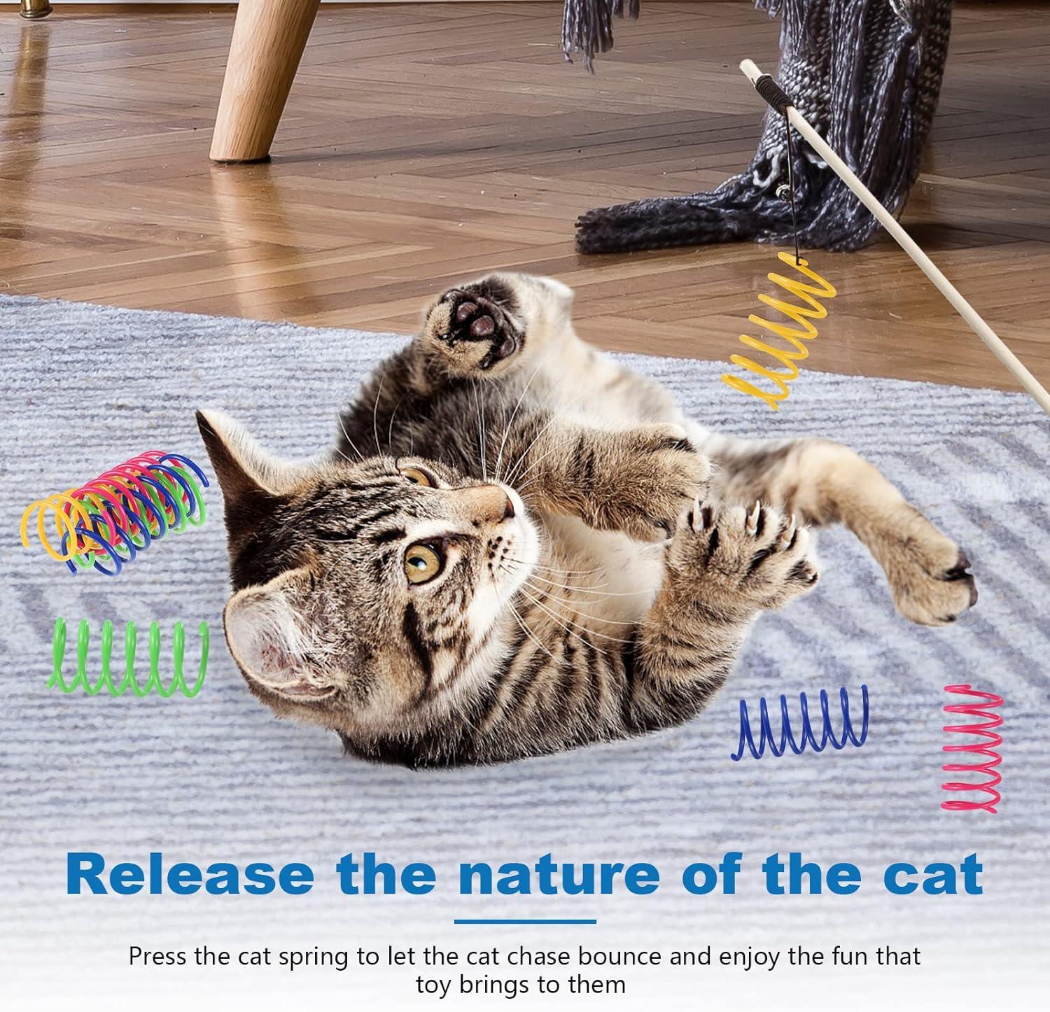 12 Pcs Cat Colorful Springs Toys Pet Interactive Toys Cat Spring Kitten ...