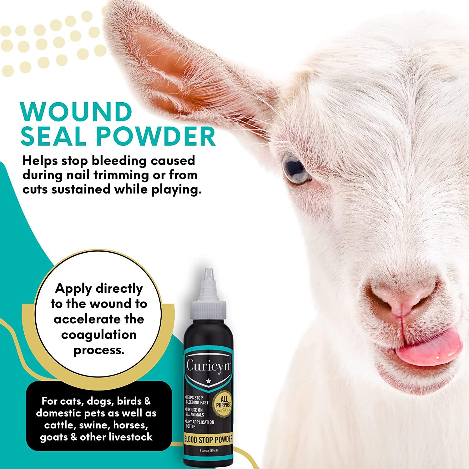 Polvere Ferma Sangue Pronto Soccorso BleedStop™ Polvere Per - Foto 6