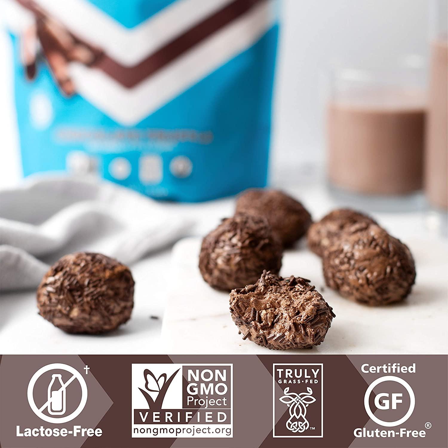 Iconic Chocolate Truffle Protein Powder Sugar Free, Low Carb, 20g