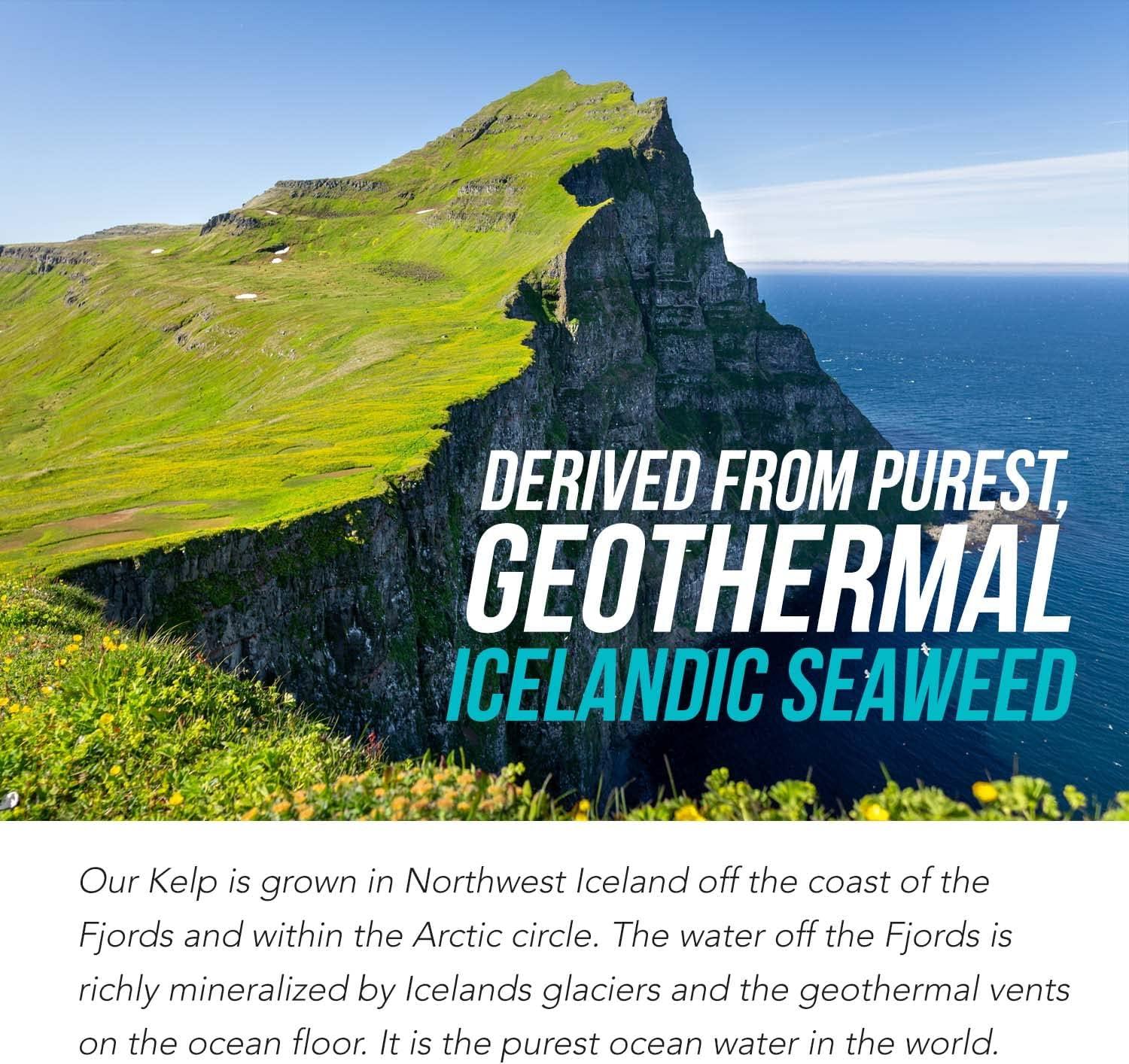 Sea Vegetable Complex Organic Iodine Supplement 250mcg, Whole Food