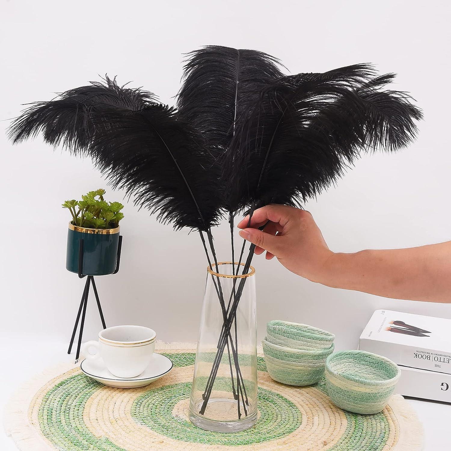 Ballinger Black Large Ostrich Feathers - 12pcs 24-26inch Feathers Making  Kit Ostrich Feathers Bulk for Vase,Wedding Centerpieces,Gatsby Party and  Home
